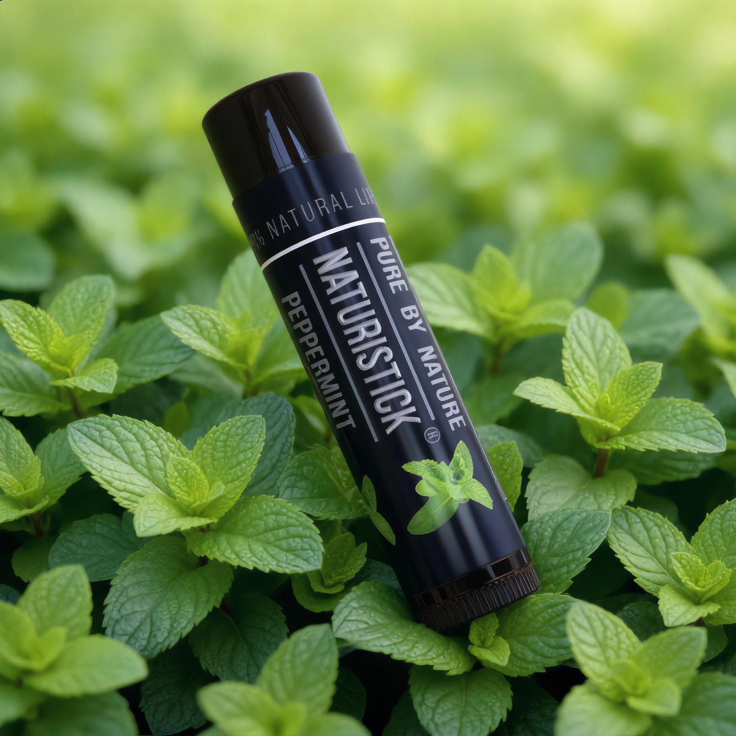 Juego de regalo de bálsamo labial natural de Naturistick, el mejor palillo curativo para labios secos, agrietados, con aloe vera, vitamina E, aceite de coco. Para hombres, mujeres y niños. Fabricado en EE.UU. (menta negra)