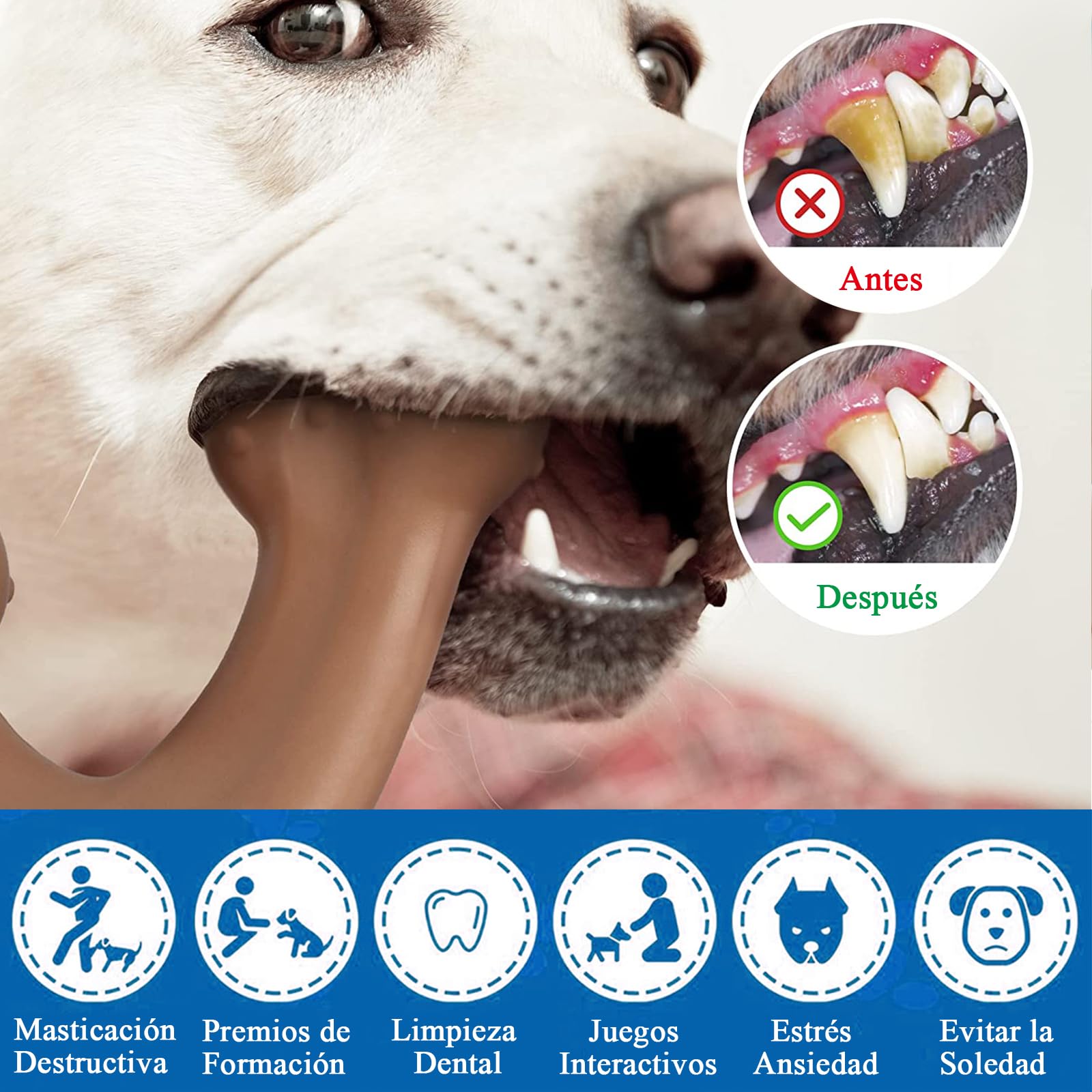 Juguete para la Dentición con Sabor a Carne de Vacuno, Ayuda a Limpiar los Dientes del Perro, Apto para Perros Medianos/Grandes, Juguetes Resistentes a las Mordeduras,Juguetes Interactivos para perros