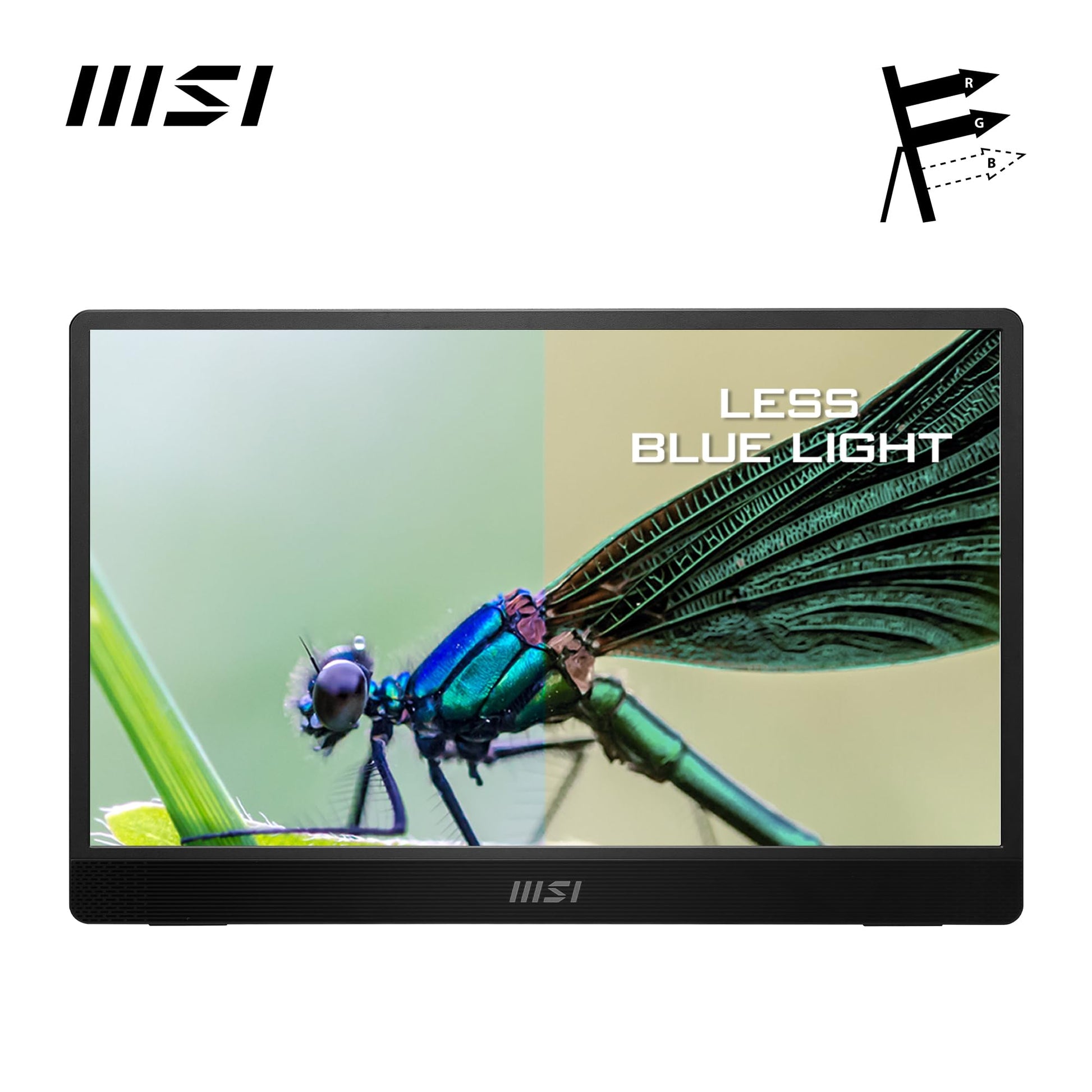 MSI Pro MP161 E2 Monitor portátil, 15.6 pulgadas FHD IPS 1080p, USB tipo C, Mini-HDMI, altavoces integrados, perfecto para PC, Mac, PS5, PS4, Xbox, móvil, gris metal