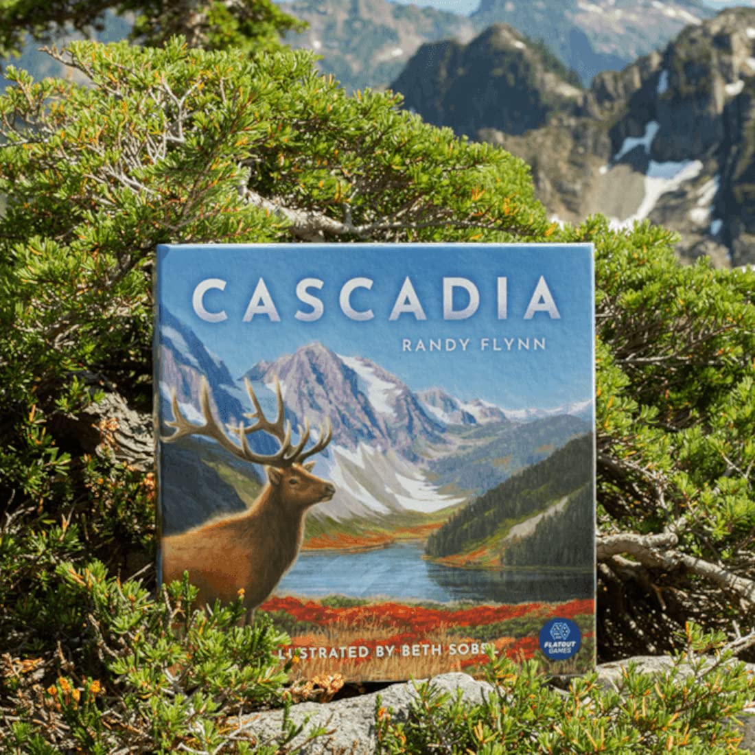 Alderac Entertainment Group (AEG) Cascadia: Juego de mesa para 1-4 jugadores, edad recomendada 12+, género Ecología, tema Cascadia, ecosistemas del noroeste Pacífico, tiempo de juego 30-45 minutos