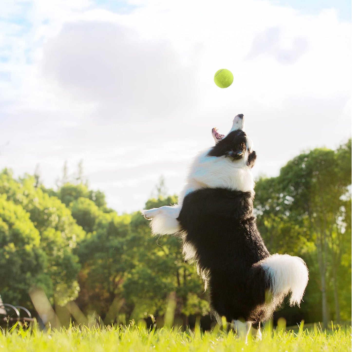 Magicorange - Pelotas de tenis, paquete de 12 pelotas de entrenamiento avanzadas, vienen con bolsa de malla para un fácil transporte, buenas para entrenamiento de principiantes