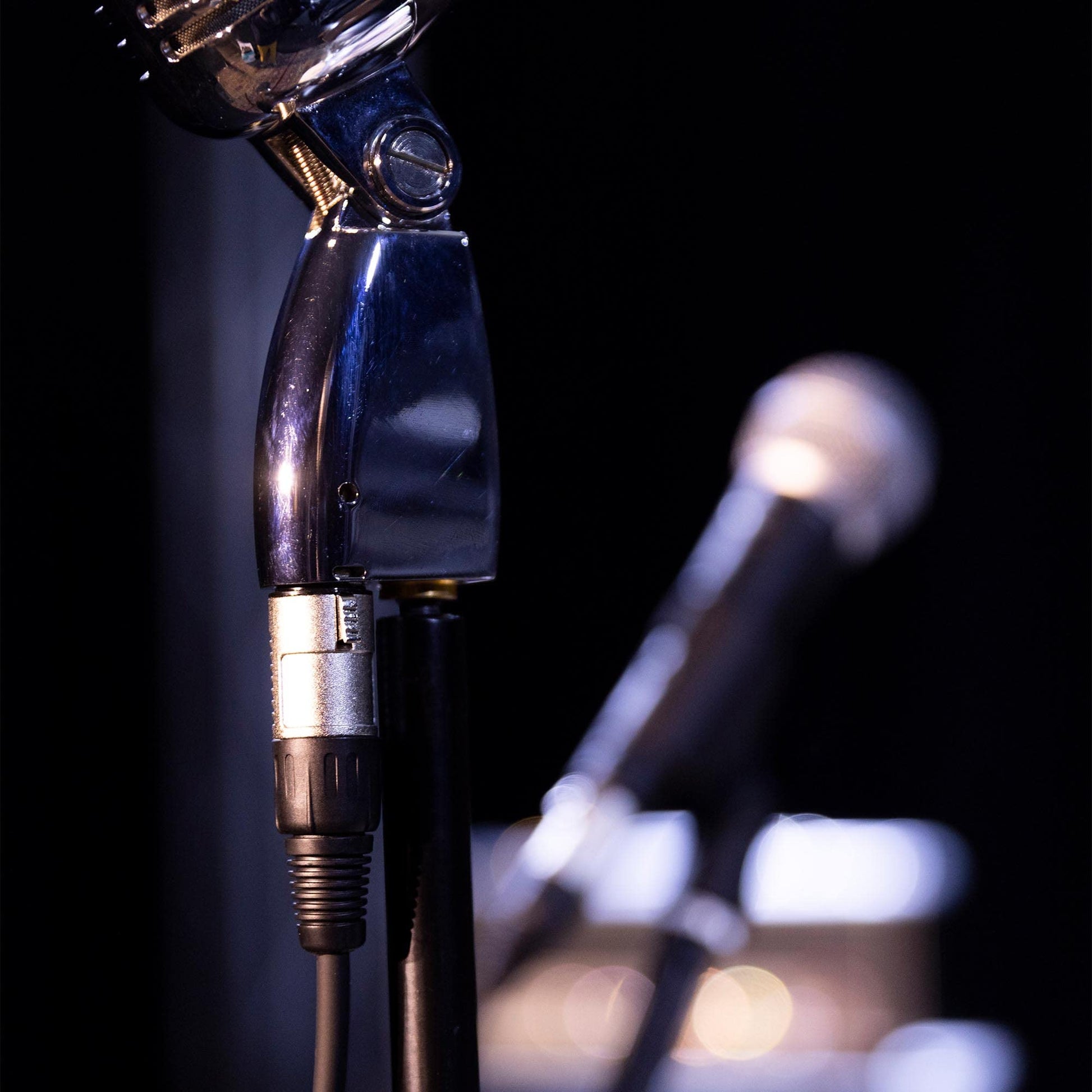 Cable de Micrófono Stagg Negro 50 Pies XLR/XLR