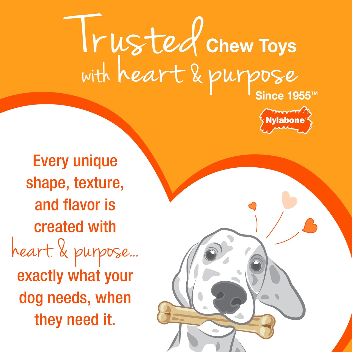 Juguetes para Perros Nylabone FlexiChew Bacon, Peanut Butter y Beef X-Small/Petite