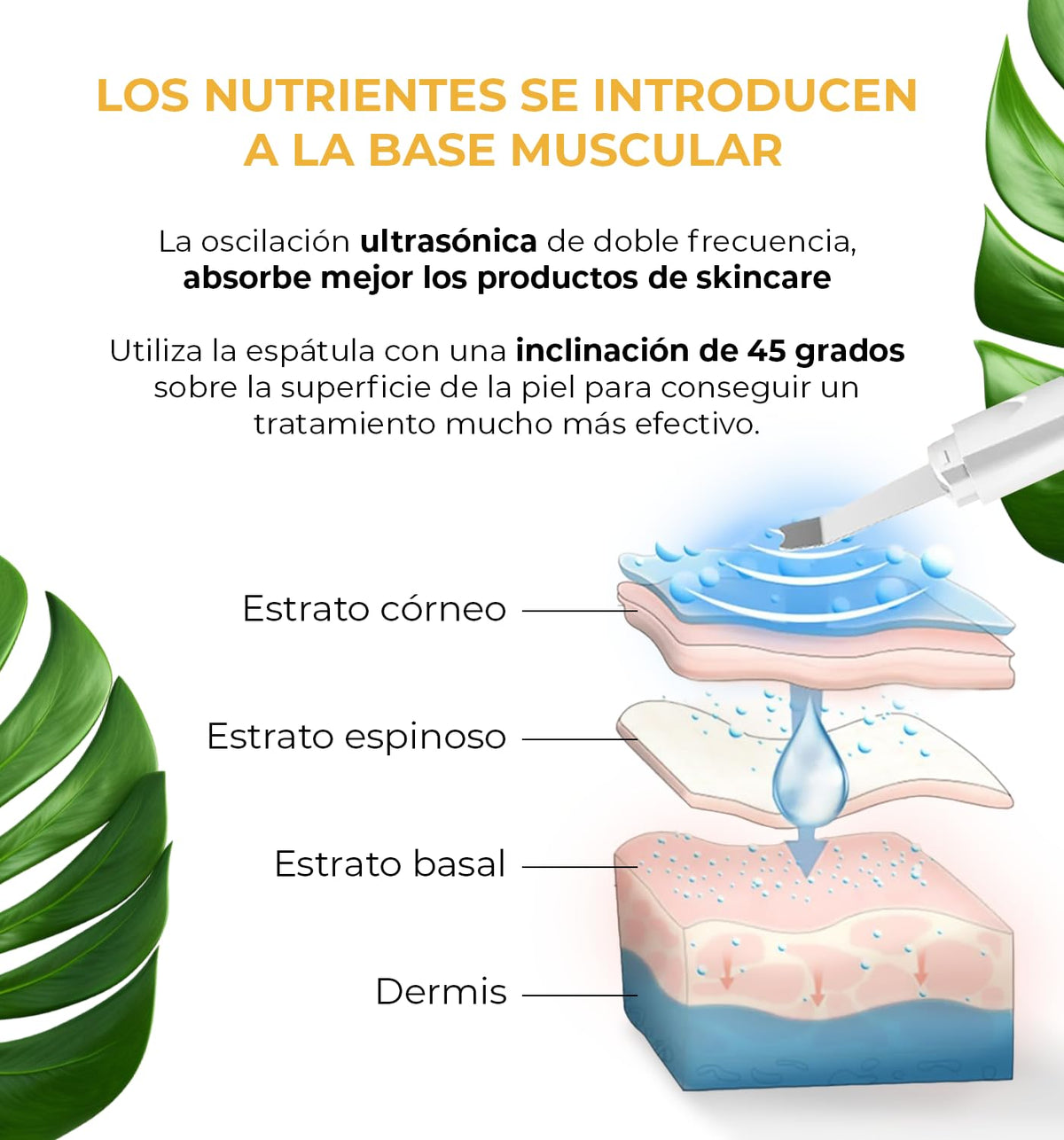 CLEOSKIN. Espátula Peeling Ultrasónico para remover espinillas y puntos negros. Incluye 2 fundas de silicona para limpieza facial y 4 agujas de acero para espinillas