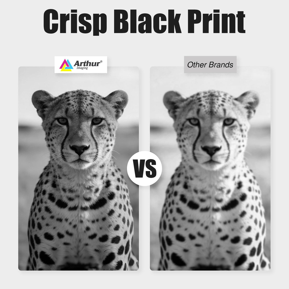 Cartuchos de Tinta Arthur Imaging Negro compatibles con Canon PGI-280XXL para Impresoras PIXMA