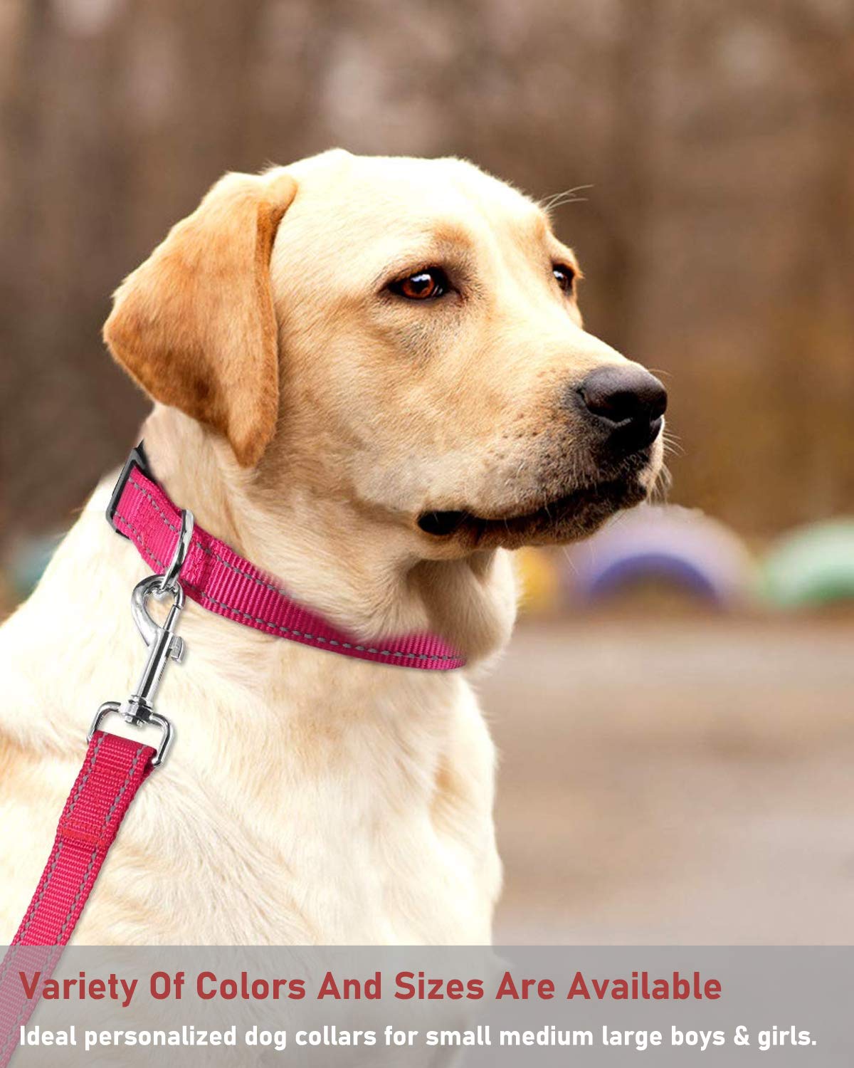 Collar reflectante para perro con hebilla de bloqueo de seguridad, ajustable suave neopreno acolchado transpirable de nailon para perros pequeños, medianos y grandes, rosa S
