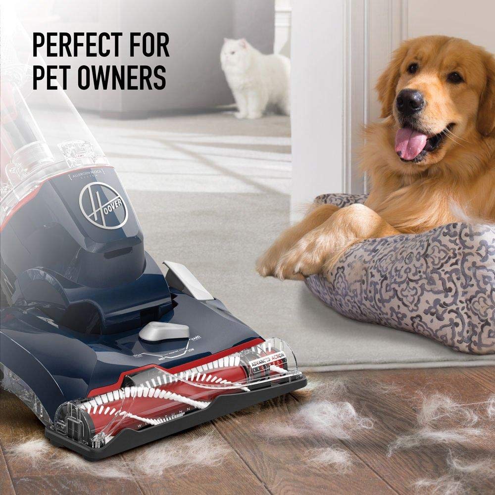 Hoover Pet MAX Aspiradora Vertical sin Bolsa, UH74110, Color Morado