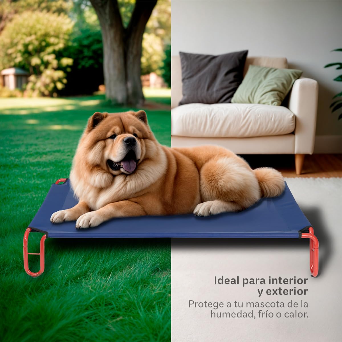Cama Elevada Esquimal Azul Rojo con Malla Transpirable para Perro Mediano