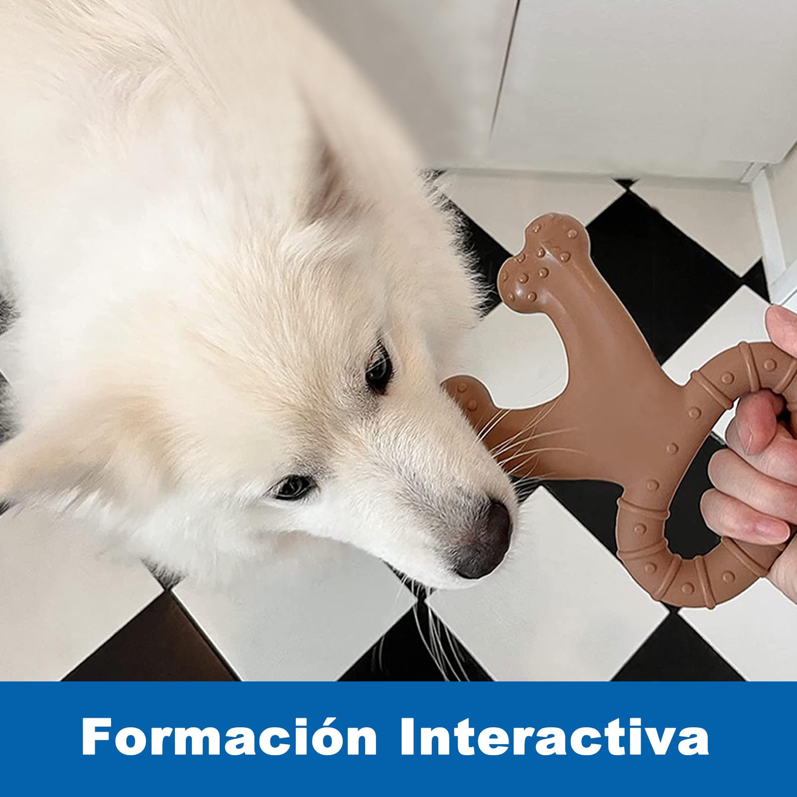 Juguete para la Dentición con Sabor a Carne de Vacuno, Ayuda a Limpiar los Dientes del Perro, Apto para Perros Medianos/Grandes, Juguetes Resistentes a las Mordeduras,Juguetes Interactivos para perros