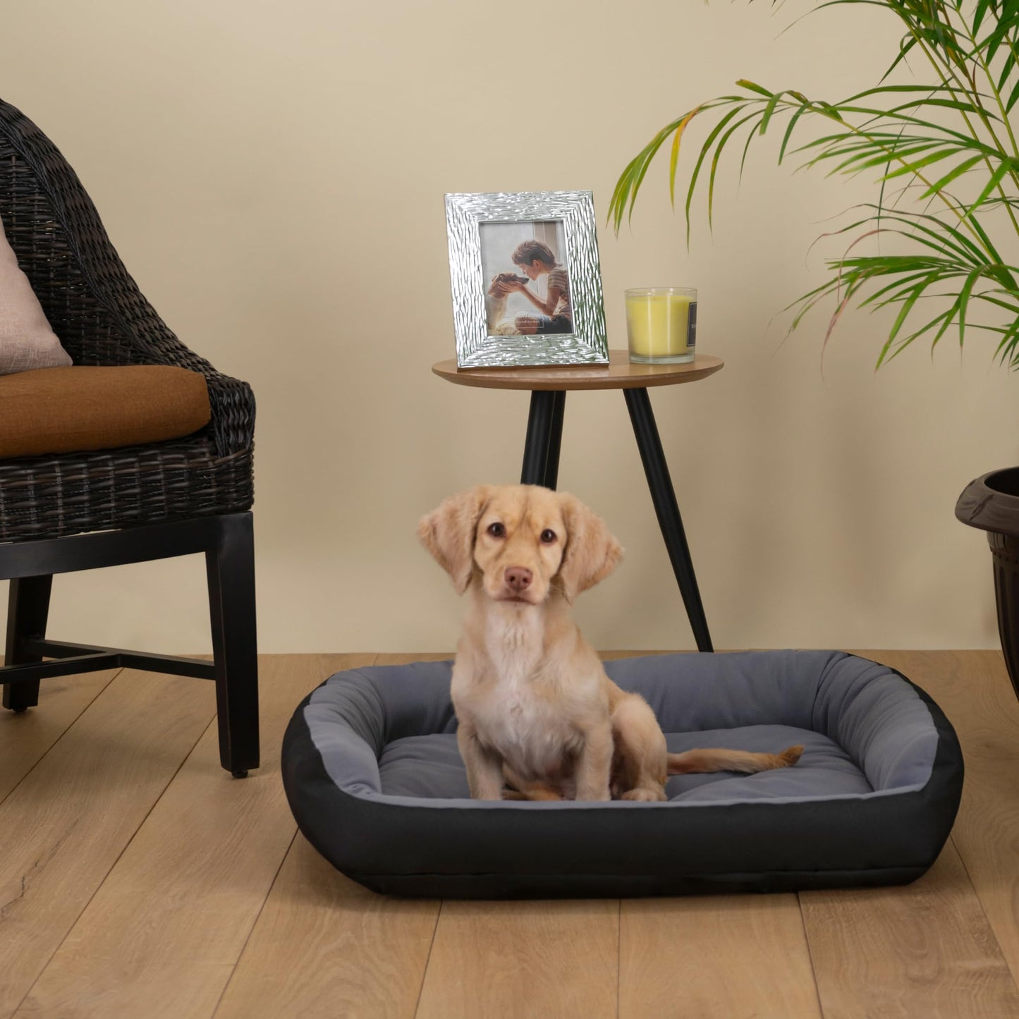 Cama para Perro Hills Medium Negra Gris Resistente y Confortable con Relleno Suave