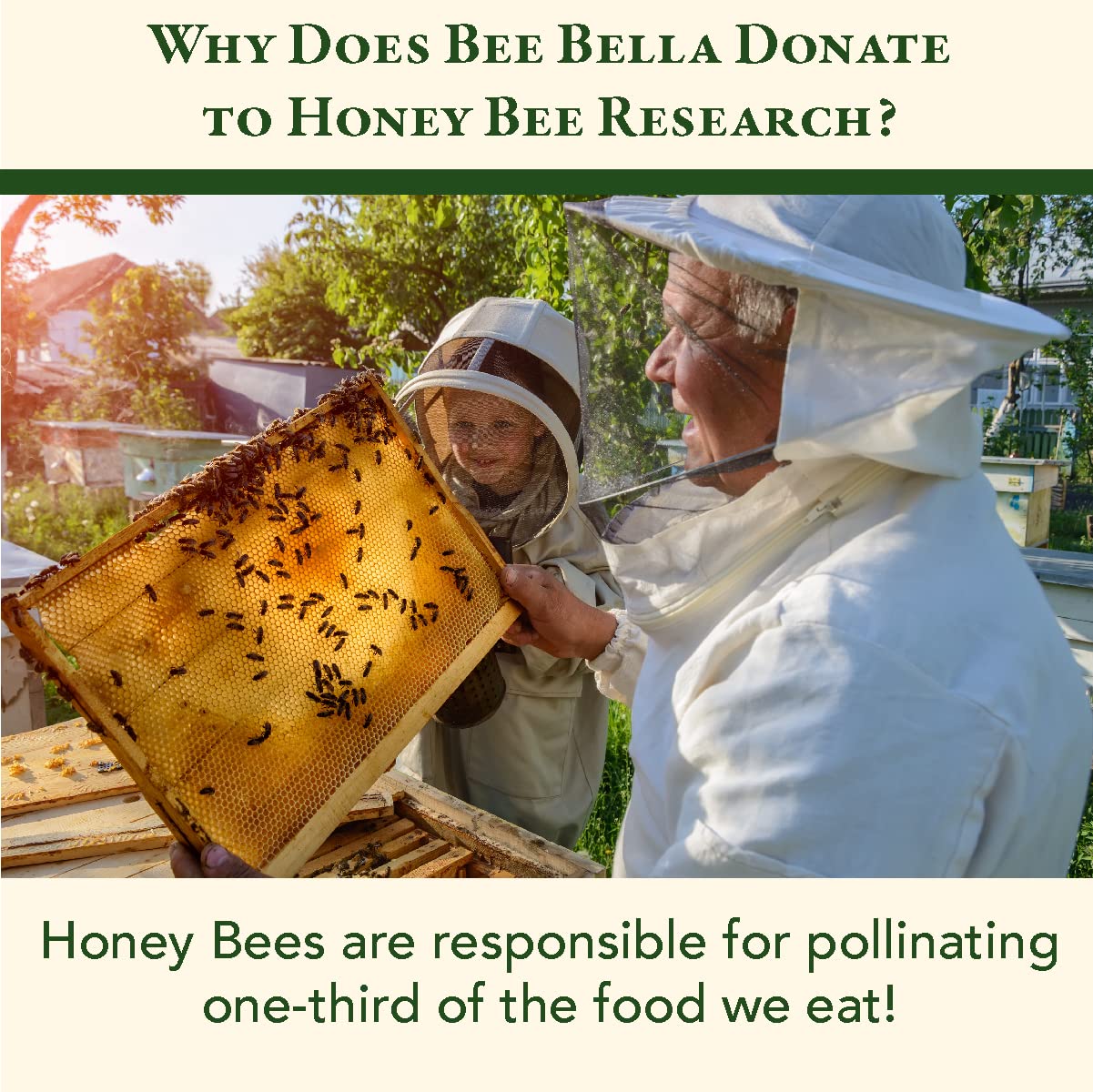 Bee Bella: bálsamos labiales – con cera de abejas, aceite de coco, aceite de jojoba, aceite de vitamina E, aceite de argán y más para labios suaves y lisos, humedad de larga duración, hecho a mano en los Estados Unidos (paquete variado, 5 unidades)