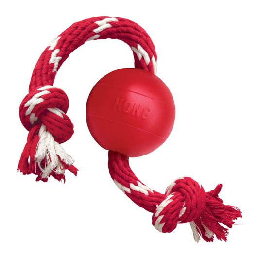 Kong pelota con cuerda chico