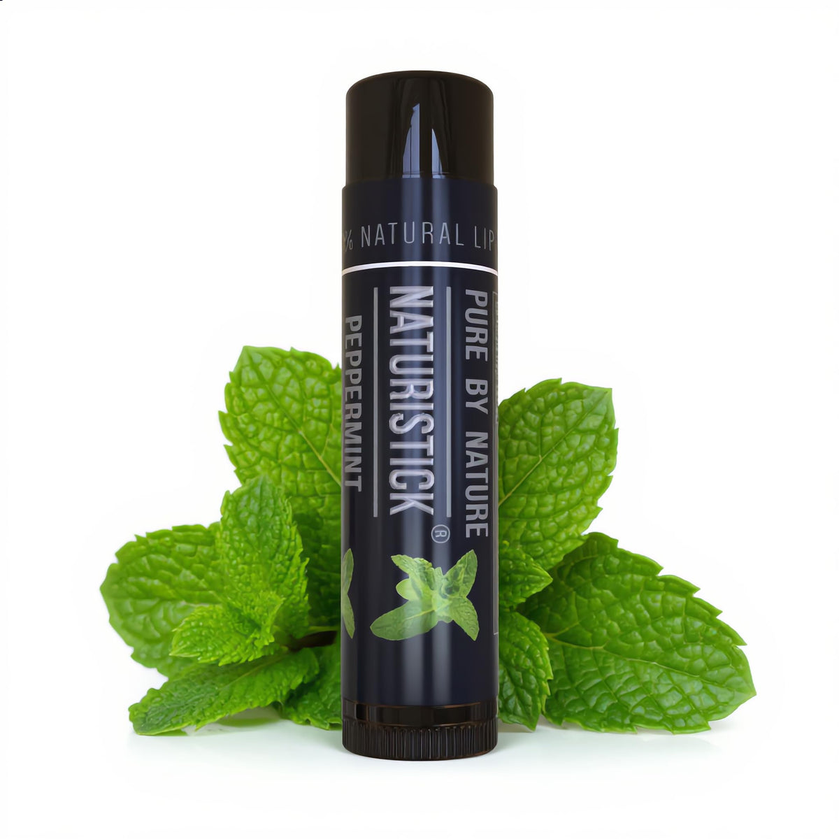 Juego de regalo de bálsamo labial natural de Naturistick, el mejor palillo curativo para labios secos, agrietados, con aloe vera, vitamina E, aceite de coco. Para hombres, mujeres y niños. Fabricado en EE.UU. (menta negra)