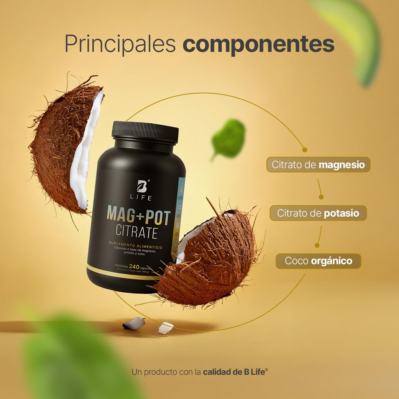B Life Magnesio y Potasio | 240 Cápsulas | 1400 mg por porción | Adicionado con coco orgánico | Ingredientes naturales | Mag + Pot Citrate.