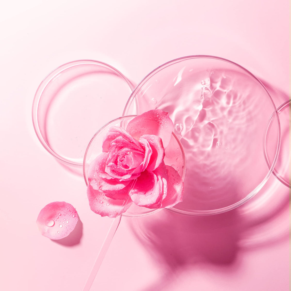 FOREO UFO Bulgarian rose, mascarilla facial activa para piel seca y apagada, pack de 3, calmante y revitalizante, con rosa búlgara y aceite de jojoba, cruelty free, compatible con UFO 2 y UFO