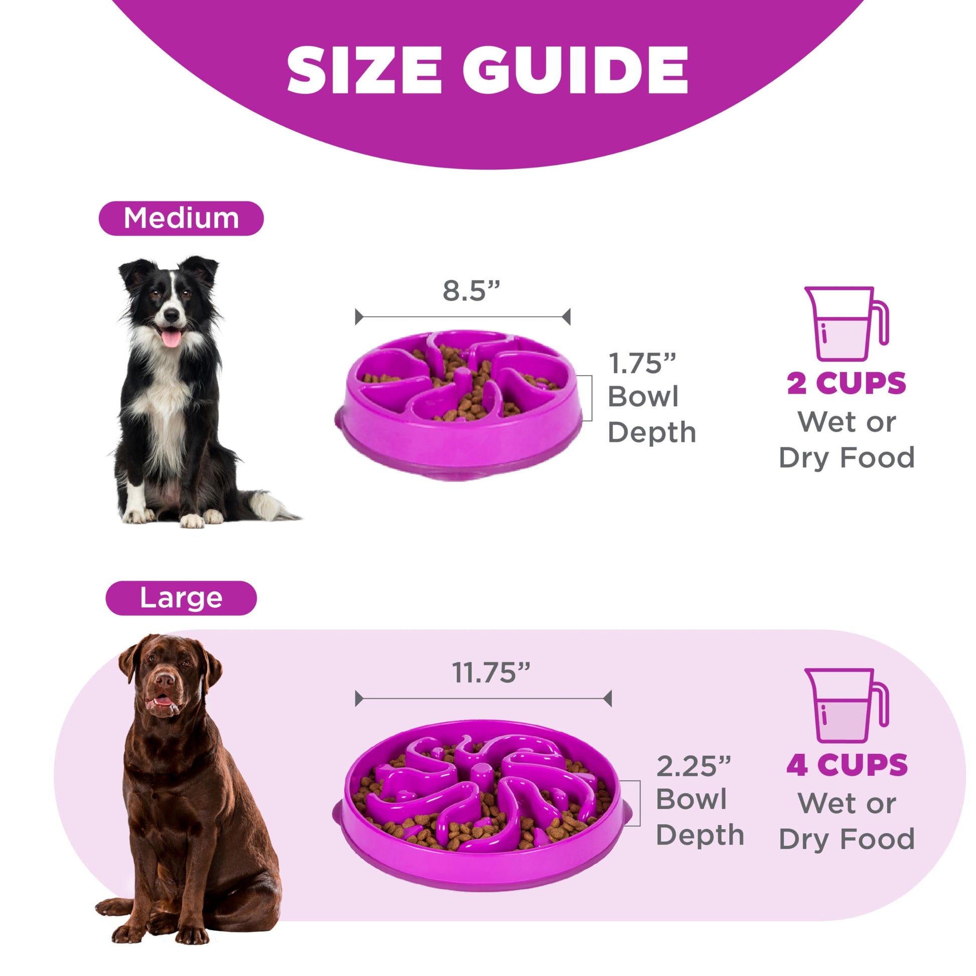 Comedero para Perros Outward Hound Púrpura Large Alimentación Lenta