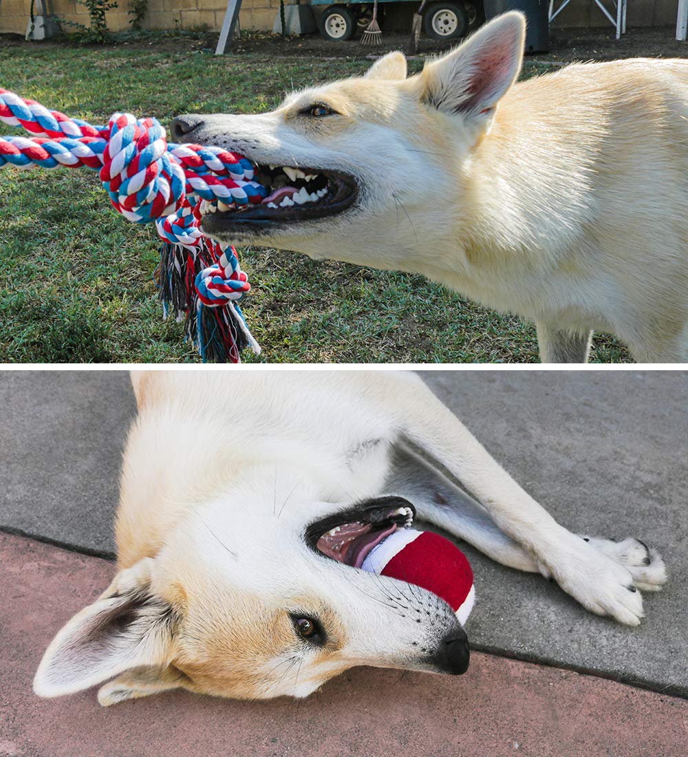 Juguetes para perros grandes – Apoya el rescate de perros sin fines de lucro – Juguetes de cuerda para perros grandes interactivos para aburrimiento – Juguetes de cuerda gigante para razas grandes – Juguetes para perros XL – Pelota de tenis gigante de bús