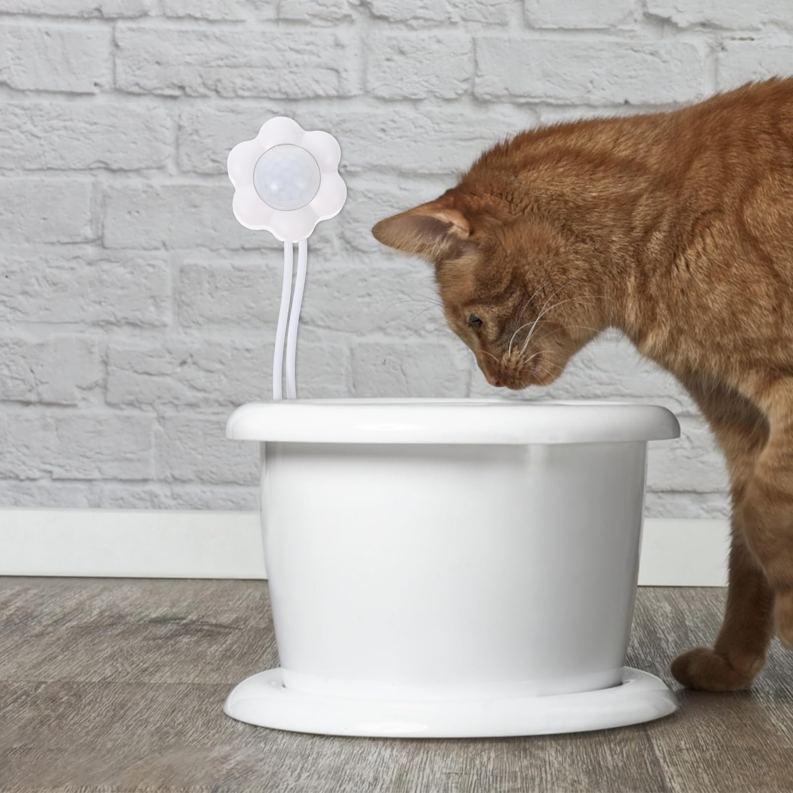 BESPORTBLESensor de fuente para gatos, sensor de movimiento de parada y arranque automático de fuente de agua para gatos - Sensor de fuente de agua universal para mascotas
