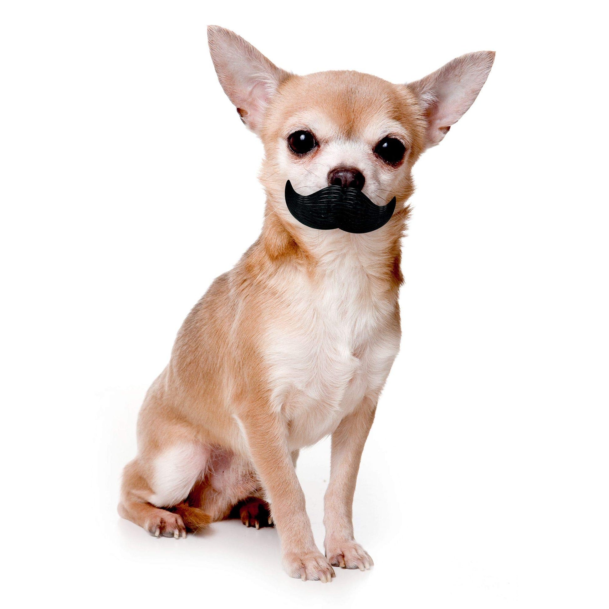FOUFIT Paci-Chew Dog Chew Toy, 3.2" x 2.2", Mustache