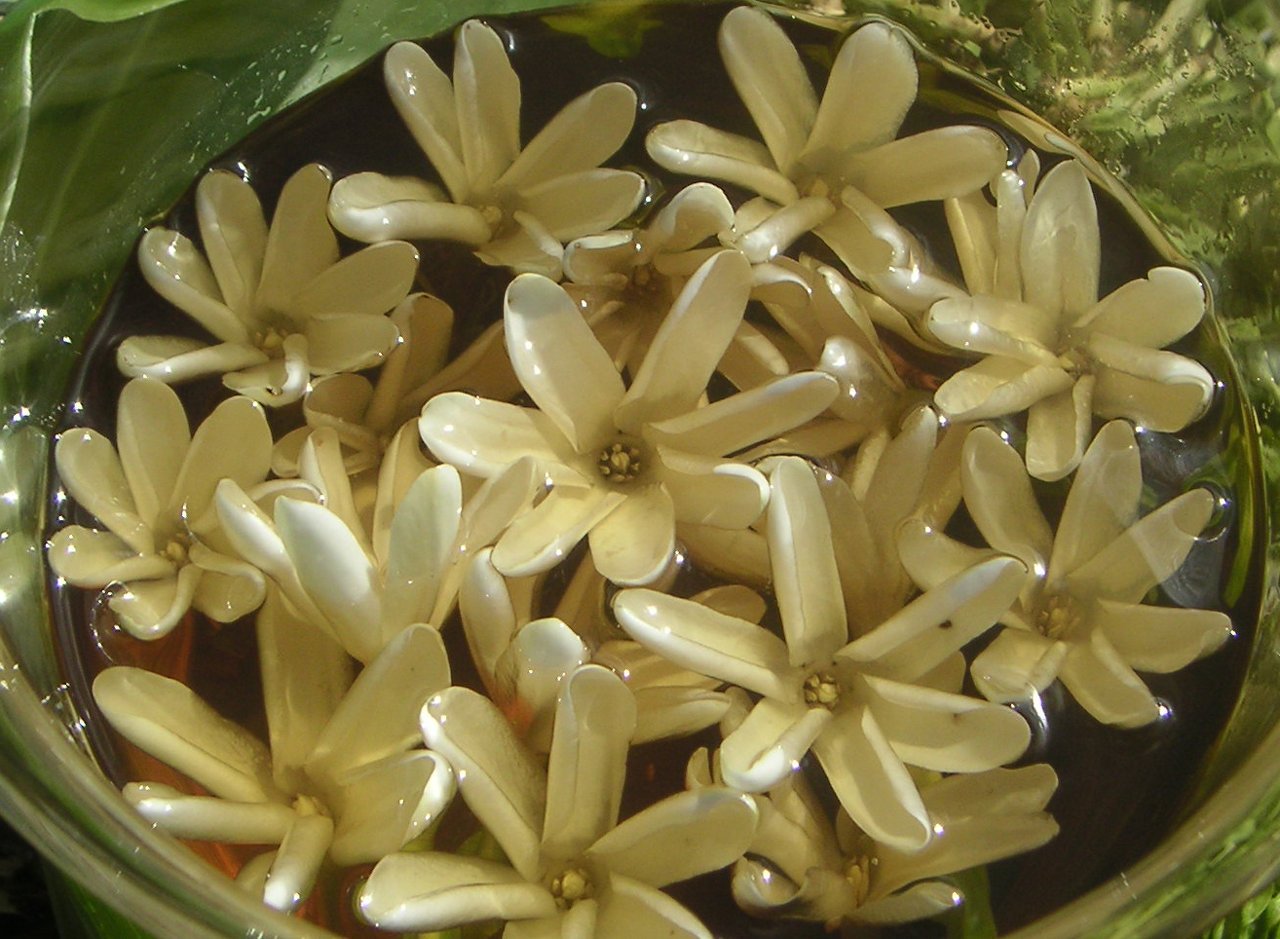 Mono'i de Tahiti'- Double Tiare' Scent-100% Natural-LIMITED EDITION-8 ounce