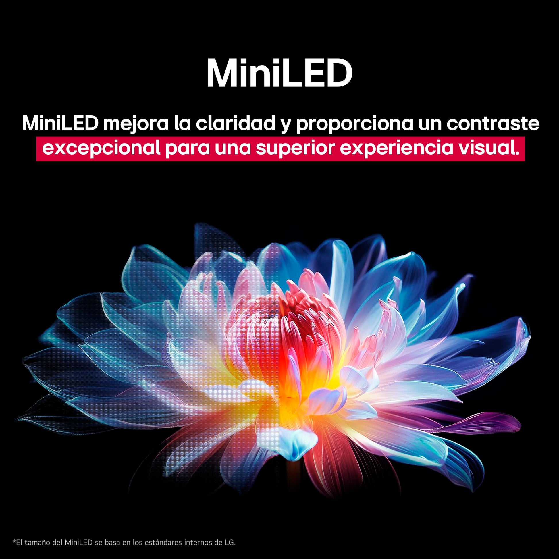 LG Pantalla 85 Pulgadas QNED EVO AI QNED92 4K Smart TV webOS 2025 85QNED92ASA |Sistema Operativo webOS|Identificación de Voz AI |120Hz|Dynamic QNED Color|Dolby Atmos & Dolby Vision Channels