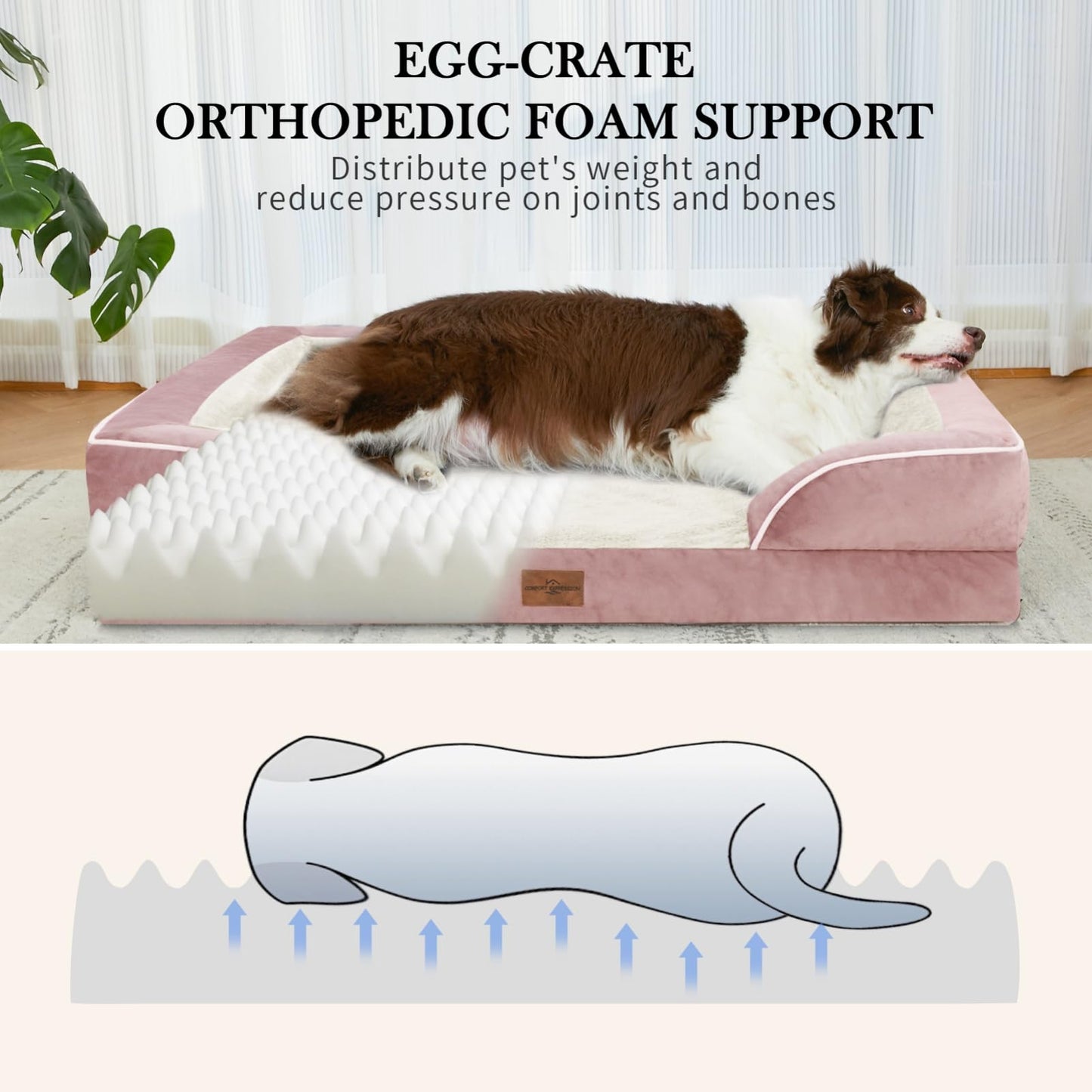 Comfort Expression - Camas de perro medianas, impermeables, de espuma ortopédica para perros medianos y grandes, cómoda cama para mascotas con funda extraíble lavable y parte inferior antideslizante