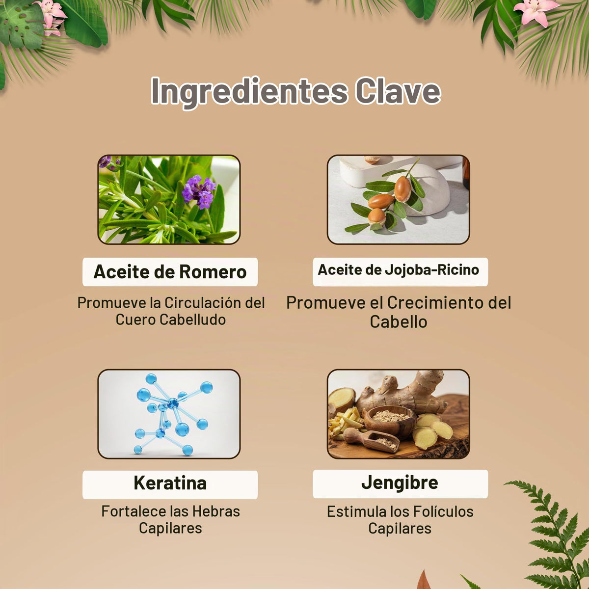 Shampoo y Acondicionador Engrosador con Extracto de Jengibre Herbishh – Kit para Hombres y Mujeres, Estimula el Crecimiento y Engrosamiento del Cabello, Sin Sulfatos ni Parabenos, Todo Tipo de Cabello