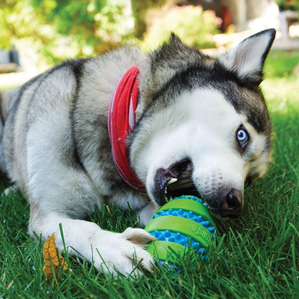 KONG Balón Goomez con Texturas Mediano