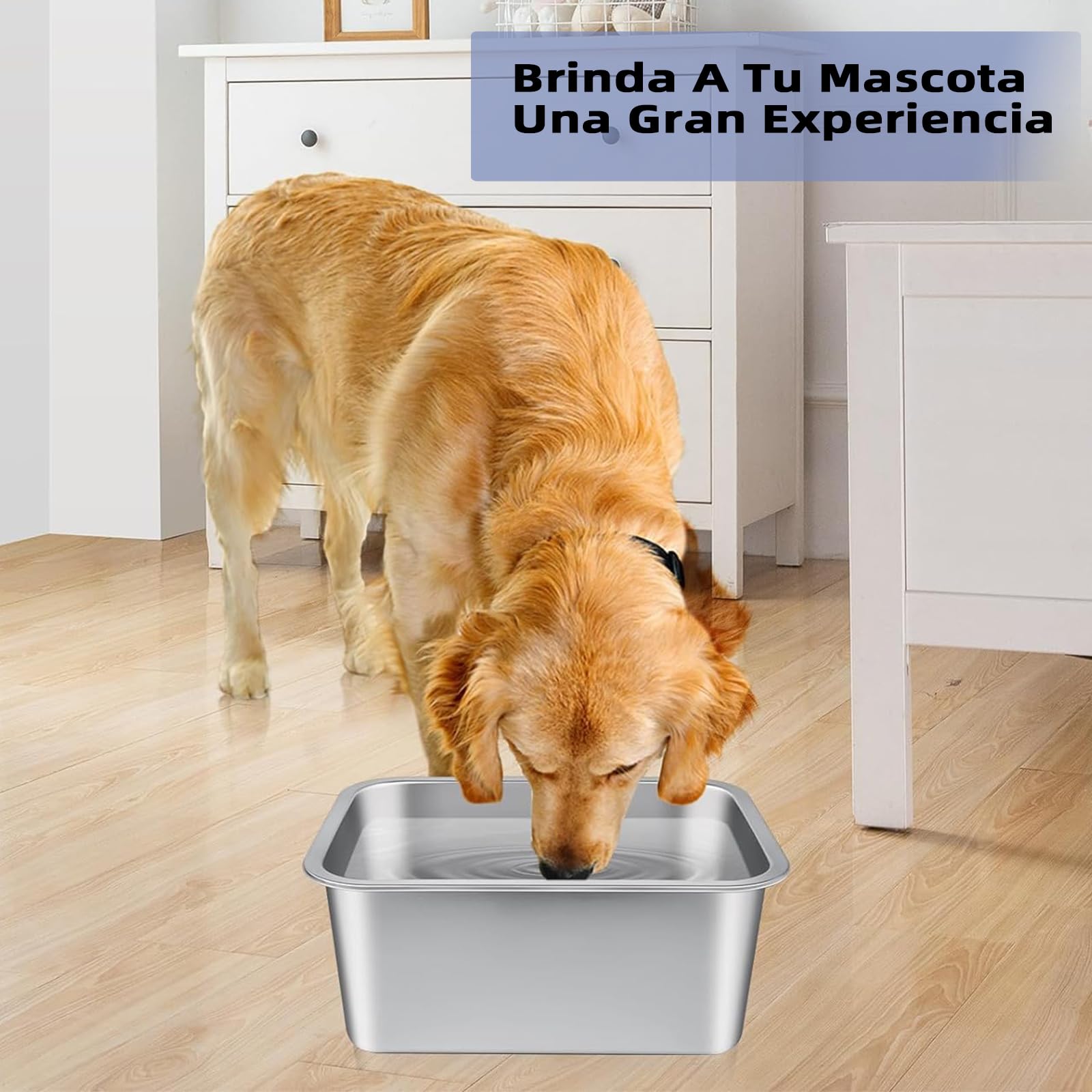 Plato para Perro de Acero Inoxidable 4.7 Litros Gran Capacidad para Perros Medianos y Grandes