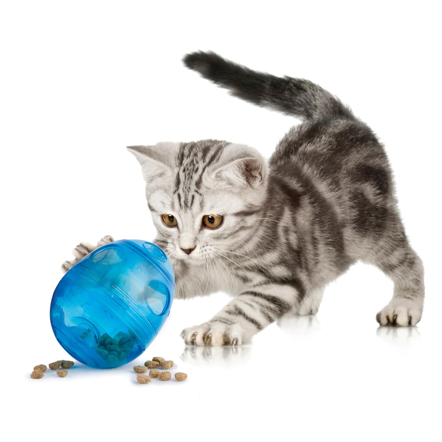 Dispensador Interactivo PetSafe Azules y Morados para Gatos