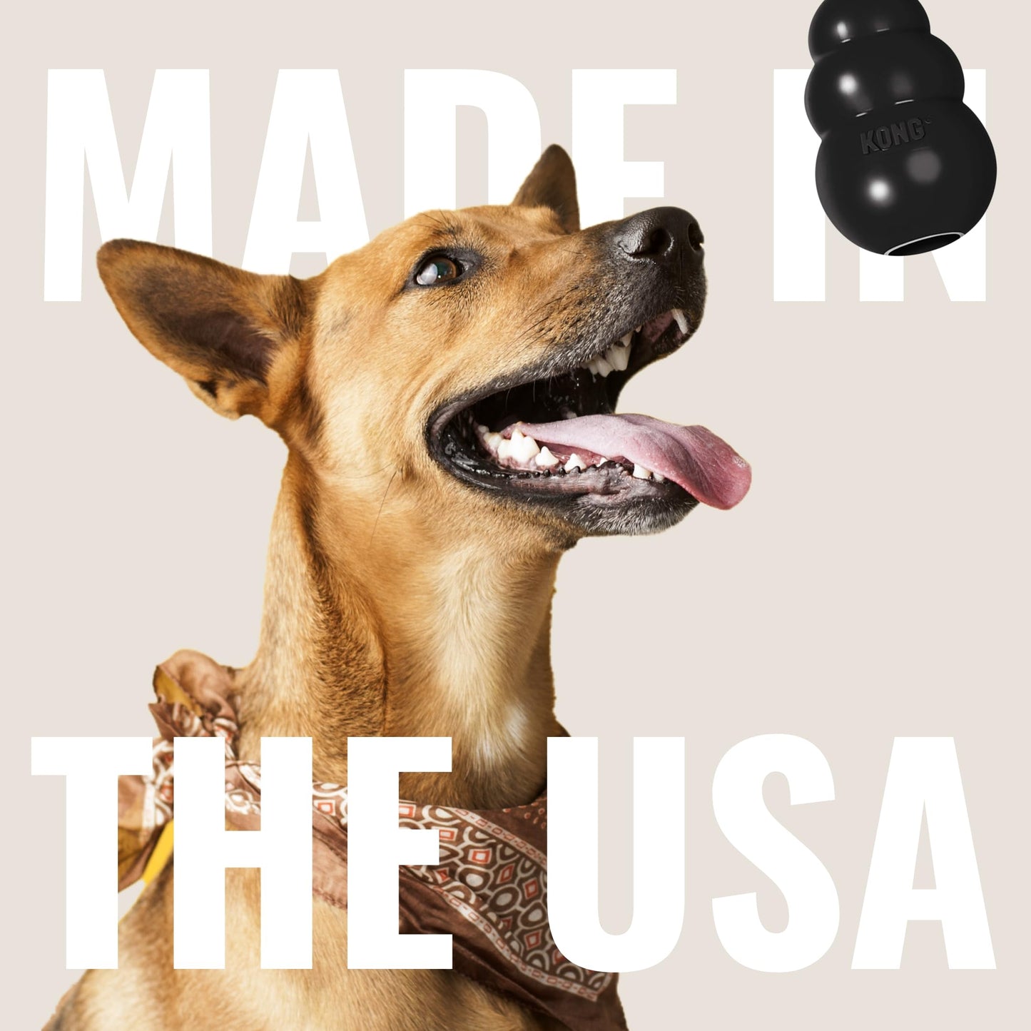 KONG Extreme Juguete para Perro, negro
