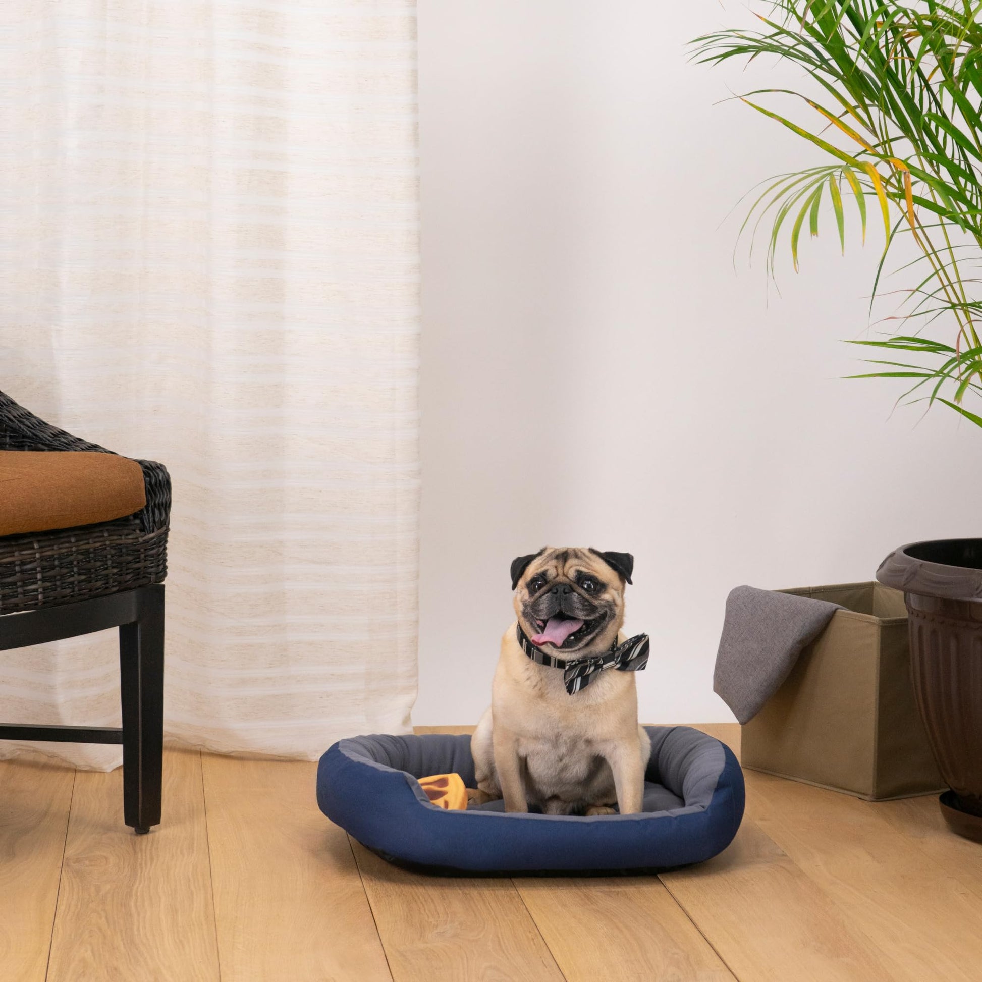 Cama para Perro PETS APPAREL HILLS Marino Gris Resistente y Confortable con Relleno Suave
