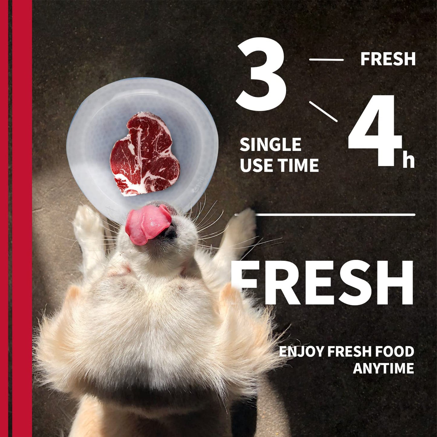 All FOR Paws All Four 8203 Bebedero de Fuente Automático Chill out Cooler Bowl, L
