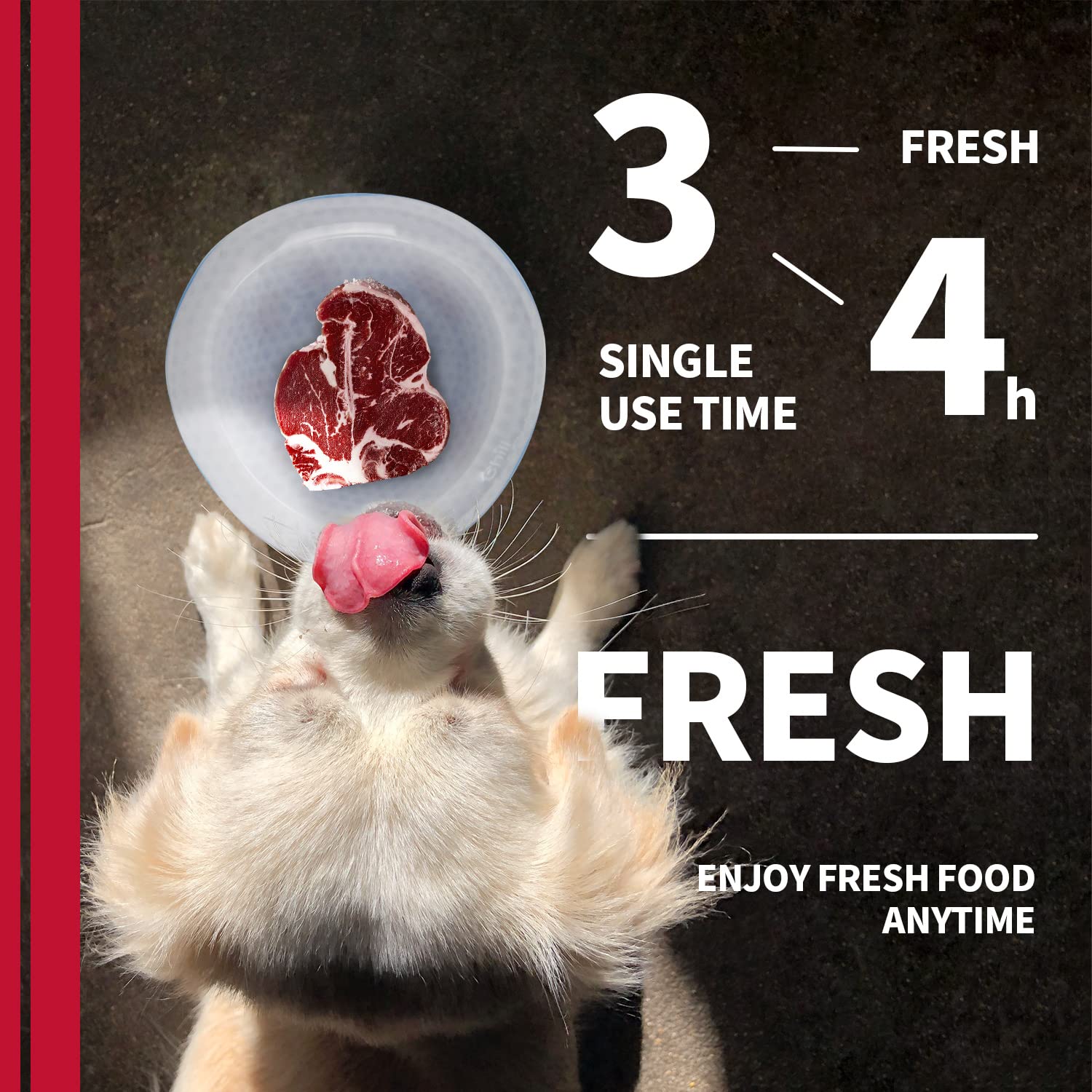 All FOR Paws All Four 8203 Bebedero de Fuente Automático Chill out Cooler Bowl, L