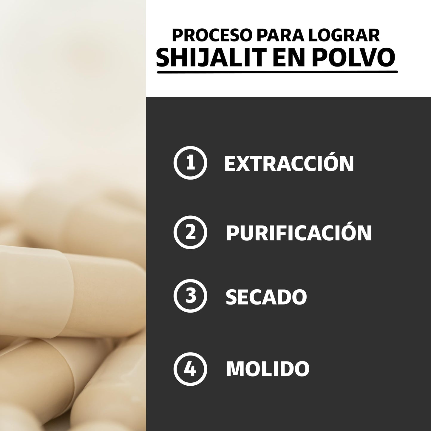Beyond Vitamins | Shilajit Puro del Himalaya | Extracto de Resina de Shilajit en polvo y encapsulado para mayor conveniencia | Alto en Ácido fúlvico | 2 meses