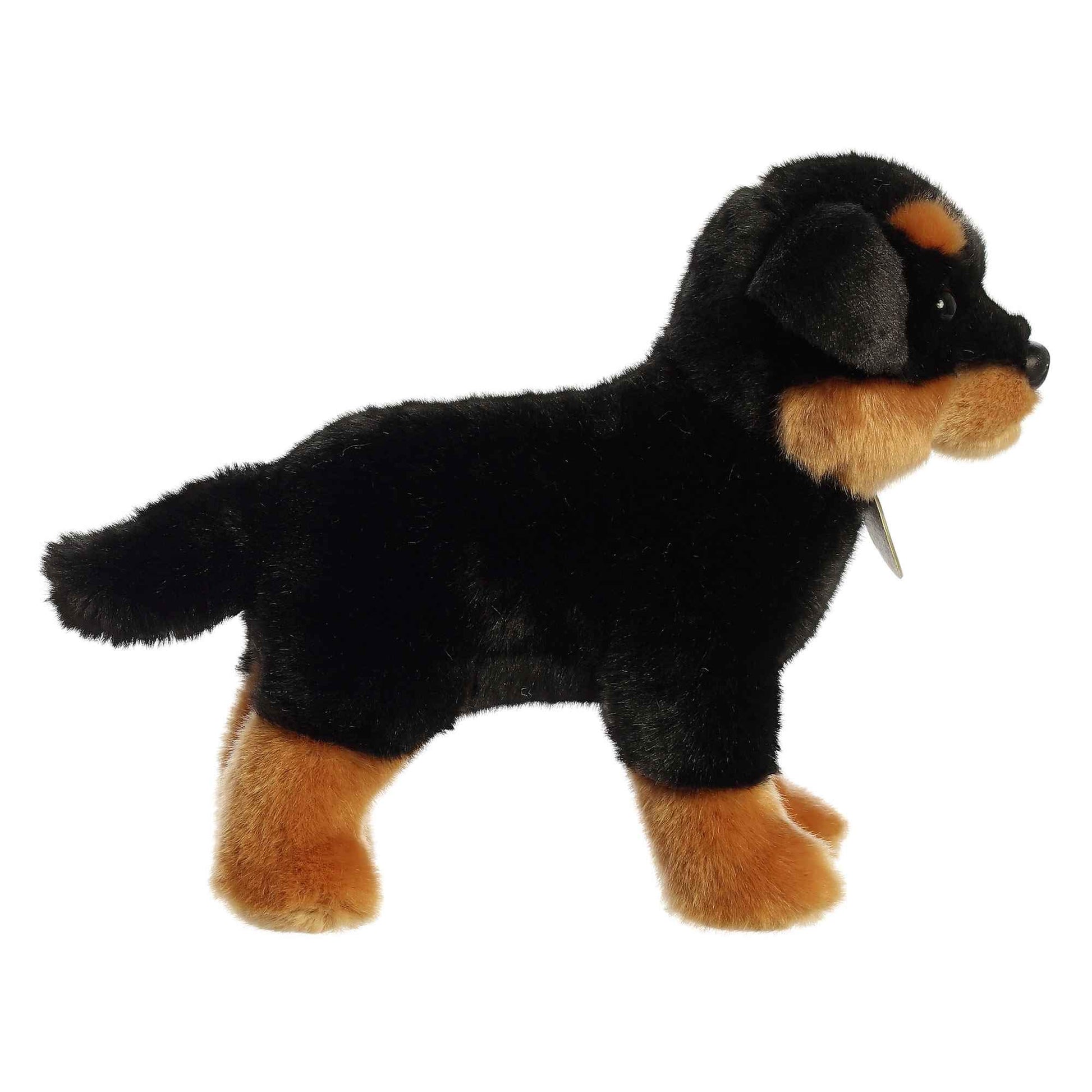 Aurora - Miyoni - Rottweiler - 25.4cm.