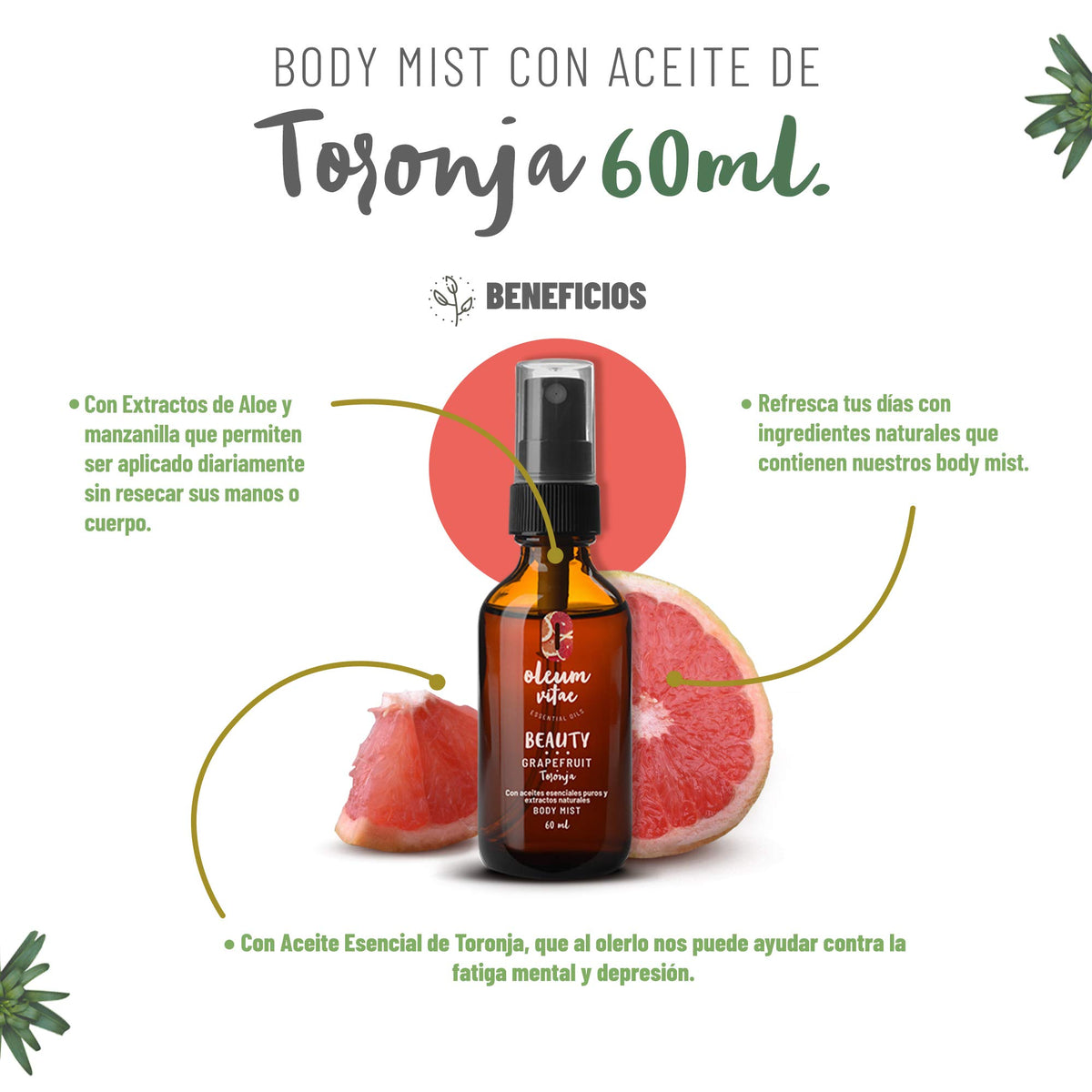 Kit Cuidado de la Piel Oleum Vitae Toronja Hidratación Profunda