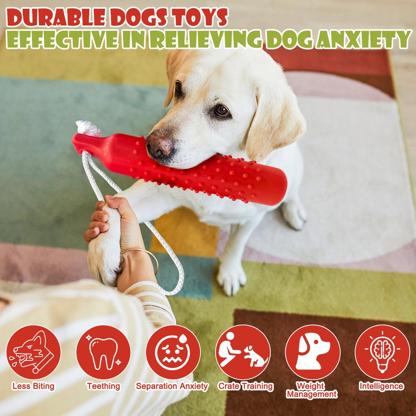BINGPET Dog Retriever Training Dummy Retrieving Bumpers Pool Toy