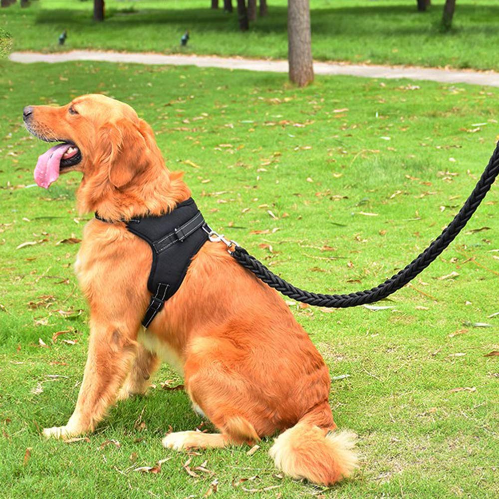 Jasonwell Collar para Perro - Pequeño Mediano Grande Pechera para Perro con Correa y Mango de Control Harnes Ajustable Reflectante Transpirable para Caminar Viajar Entrenar (Negro, S)