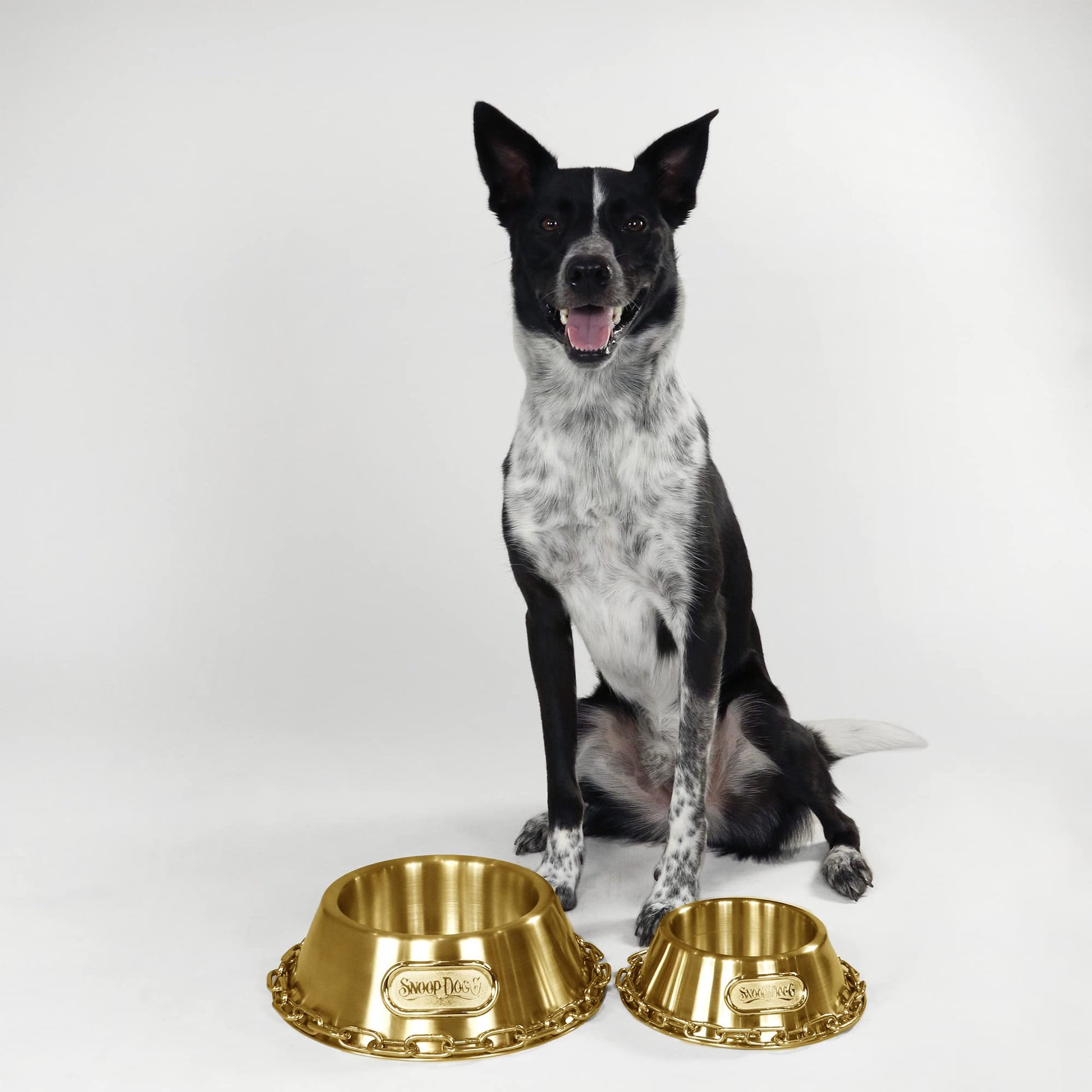 Tazón Pequeño para Mascotas Snoop Doggie Doggs Dorado Deluxe