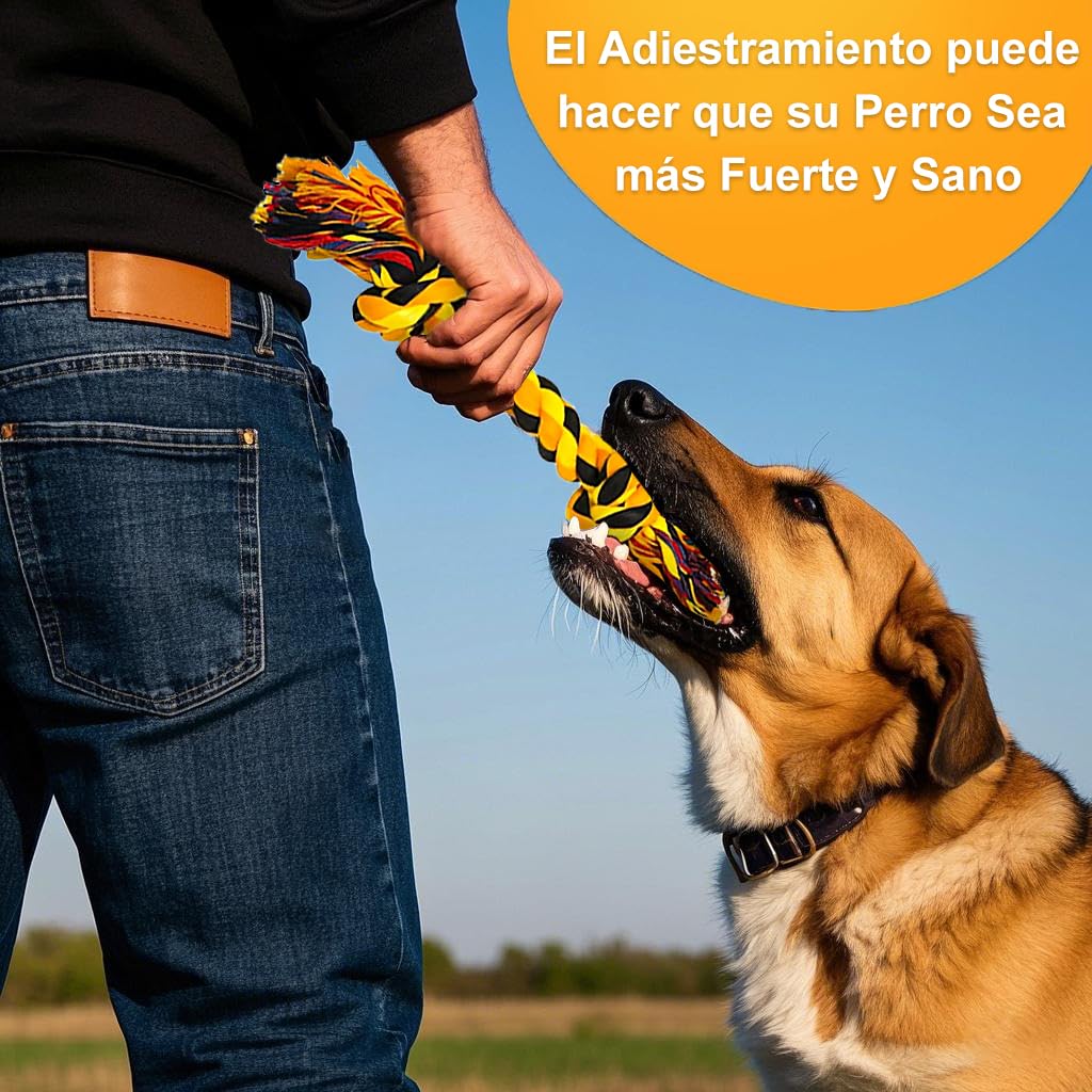 Juguetes para Perros Pequeños 15 Piezas, Juguetes Cuerda para Perro Morder con Nudo, Cuerdas Duraderos para Masticar Cachorro, Juego de Juguetes para Perros Limpiar Dientes y Alivia el Estrés