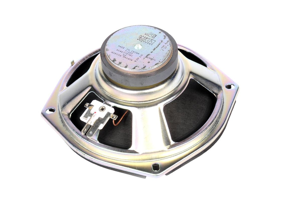 Altavoz Trasero ACDelco GM Original Equipment