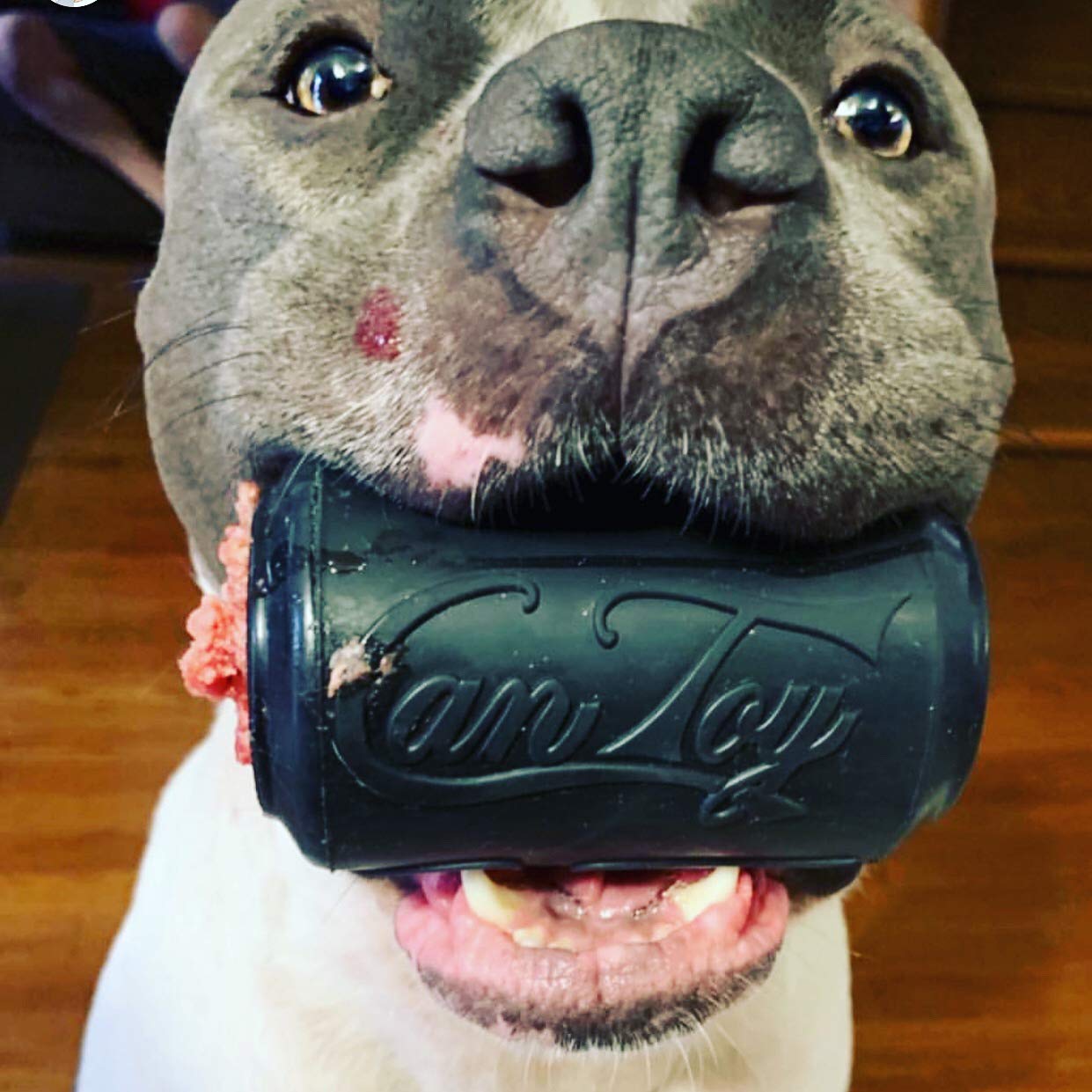 Juguete de Goma Natural SodaPup Negro Dispensador de Golosinas Alimentador Lento para Masticadores Más Agresivos para Perros Grandes
