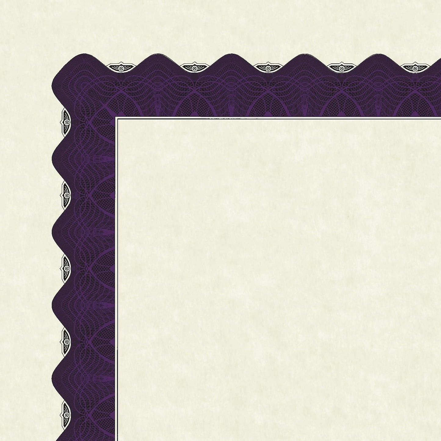Great Papers! Metallic Purple Border Certificate, 8.5"x11", 100 Count (961021)