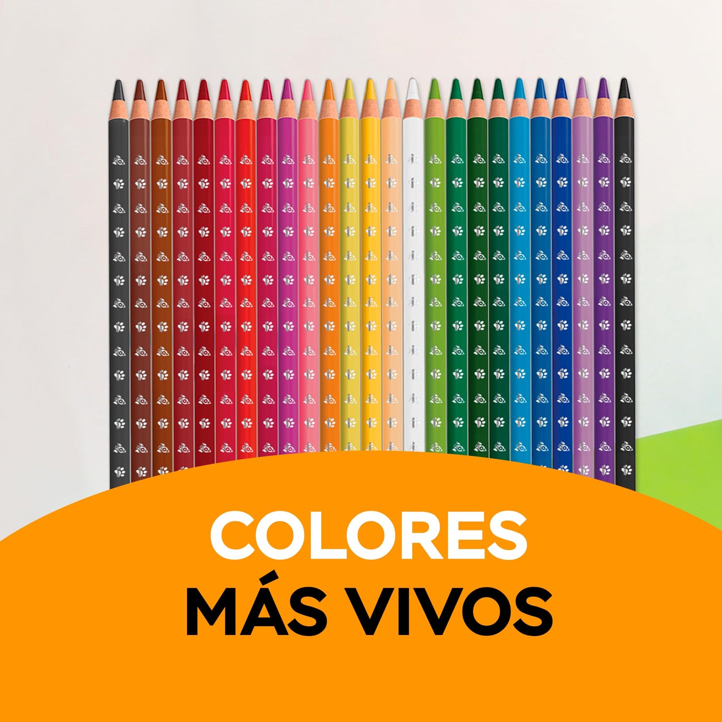 BIC Lápices de Colores Evolution Mina Gruesa 4mm Hechos de Madera Mayor Cremosidad Colores Intensos Cuerpo Redondo 24 Piezas