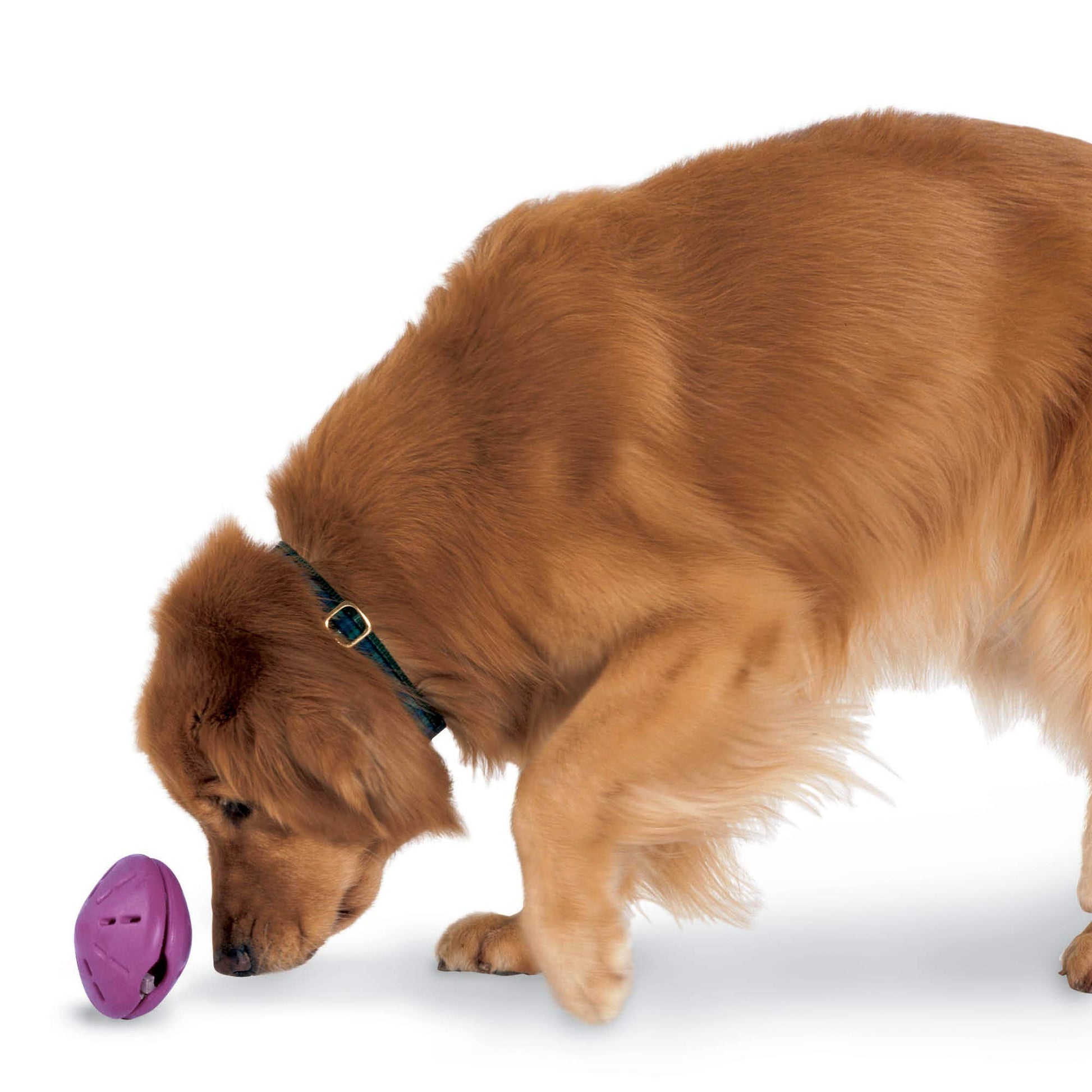 Juguete Dispensador PetSafe Busy Buddy Grande para Perro