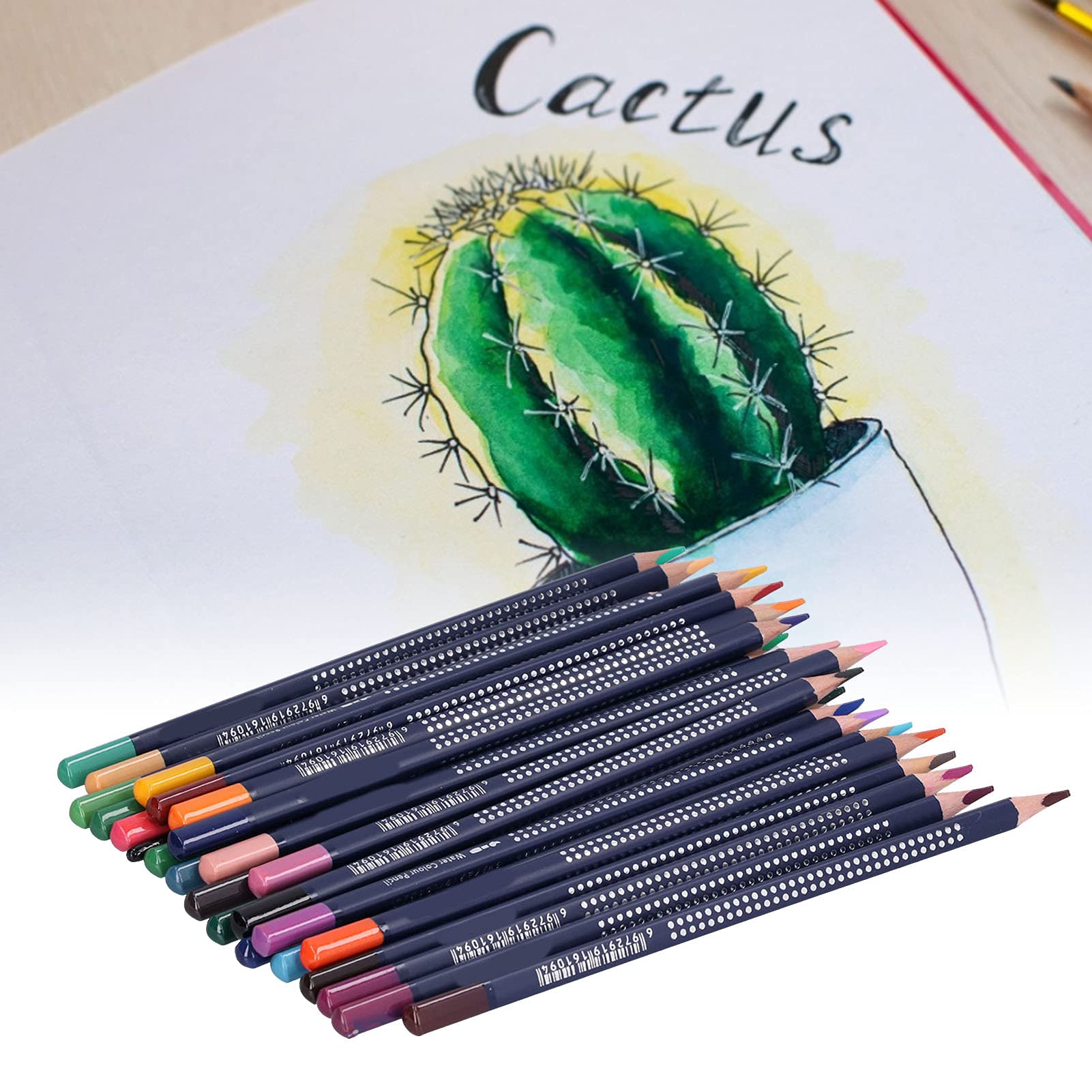 Lápices de Acuarela, Juego de Lápices de Colores Solubles en Agua, Lápices de Colores con Pintura de Troncos Triangulares Gruesos con Caja de Hierro(24 colores)