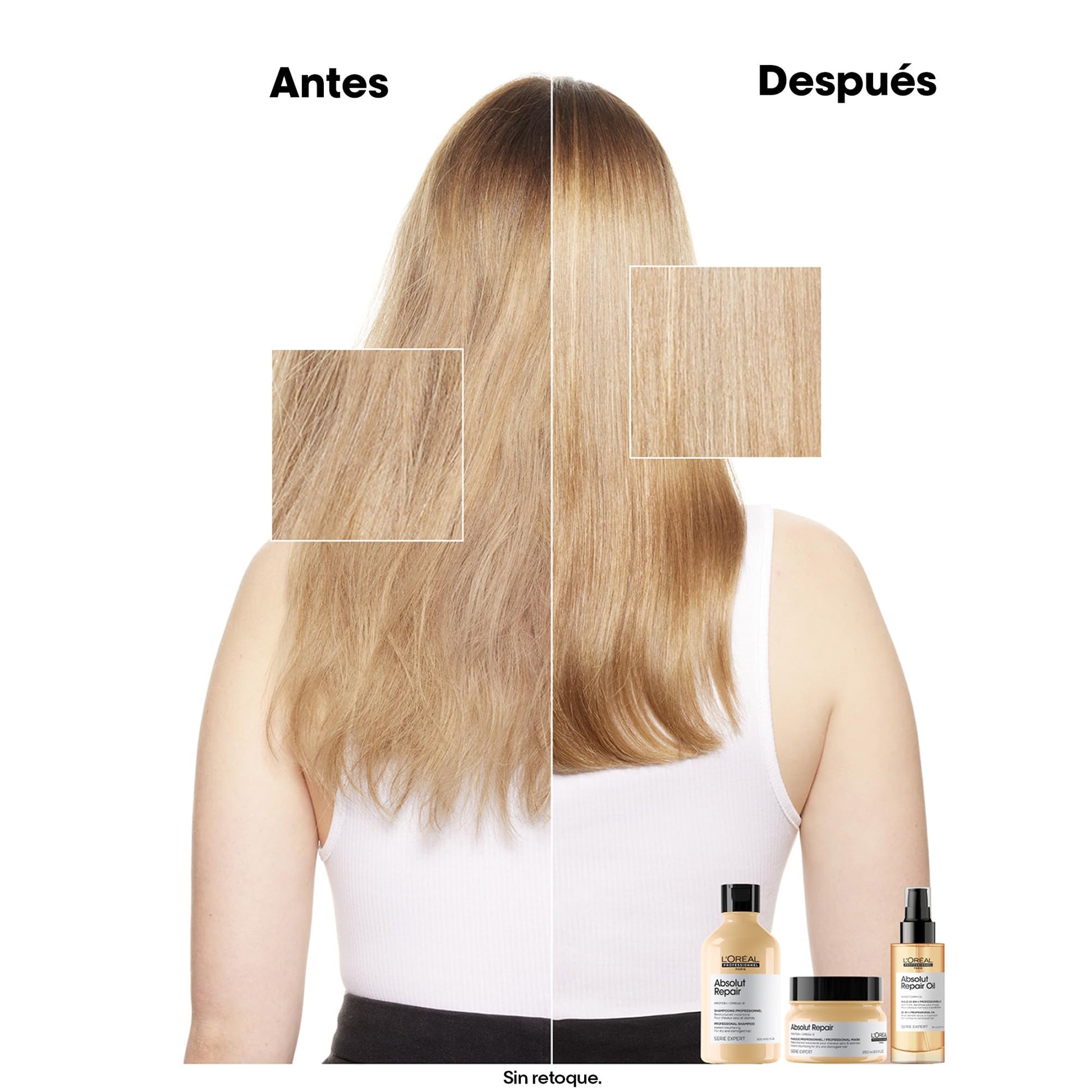 L'Oreal Professionnel Absolut Repair Shampoo | Repara el daño y proporciona brillo | Con quinoa y proteínas | Tratamiento con tecnología de proteínas | Para cabello seco y dañado | 300ml