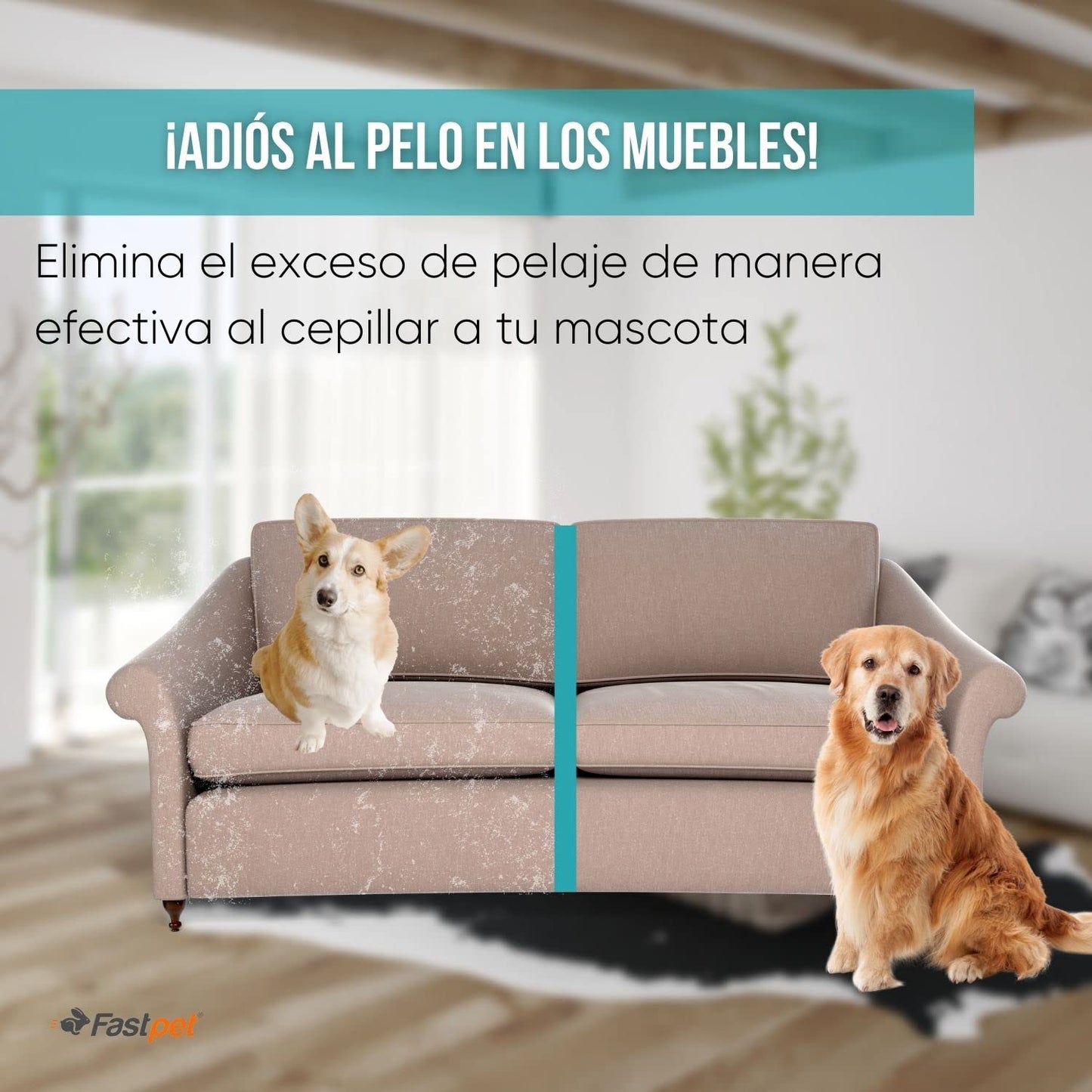 Fastpet Cepillo Automático para perro 2-EN-1 Quita Pelos de Mascotas, Cepillo de Limpieza y peinado para Perros y Gatos para Eliminar el pelo de Mascotas, Masaje y estilizar.