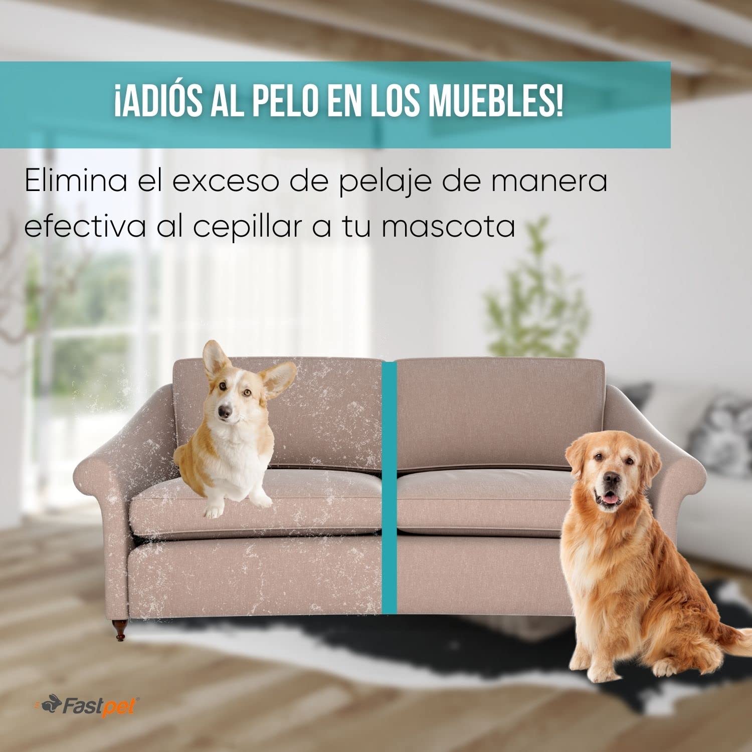 Fastpet Cepillo Automático para perro 2-EN-1 Quita Pelos de Mascotas, Cepillo de Limpieza y peinado para Perros y Gatos para Eliminar el pelo de Mascotas, Masaje y estilizar.